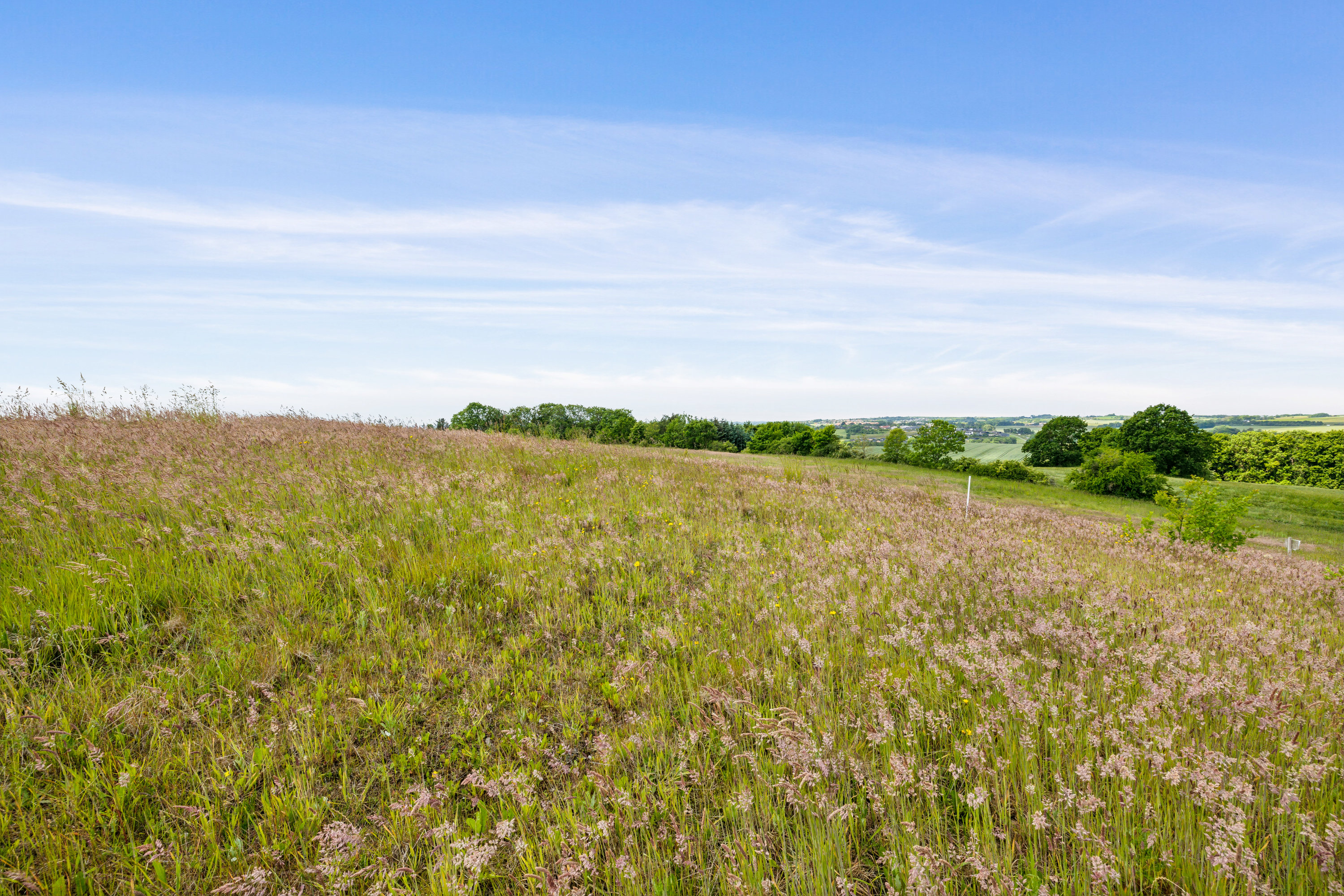 Fremhævet omgivelser billede i fuldskærmstilstand. Billede af Kappelgårdparken 43, 8410 Rønde