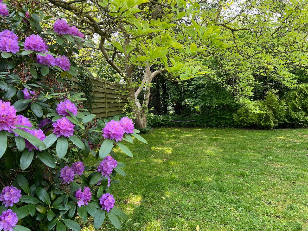 Fremhævet  billede i fuldskærmstilstand. Billede af Stenbukken 16, 5700 Svendborg