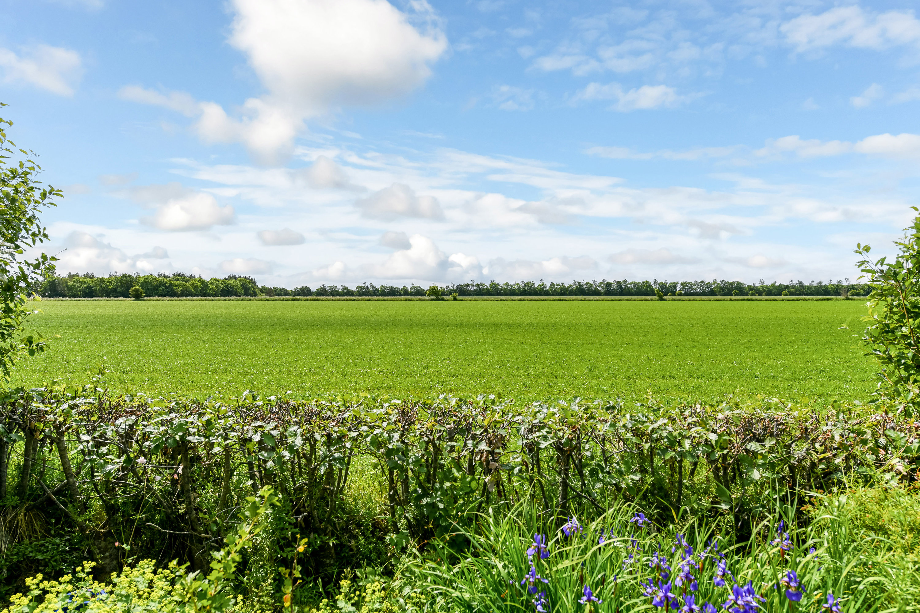 Miniaturebillede 1: område. Billede af Langlivej 15, 6852 Billum