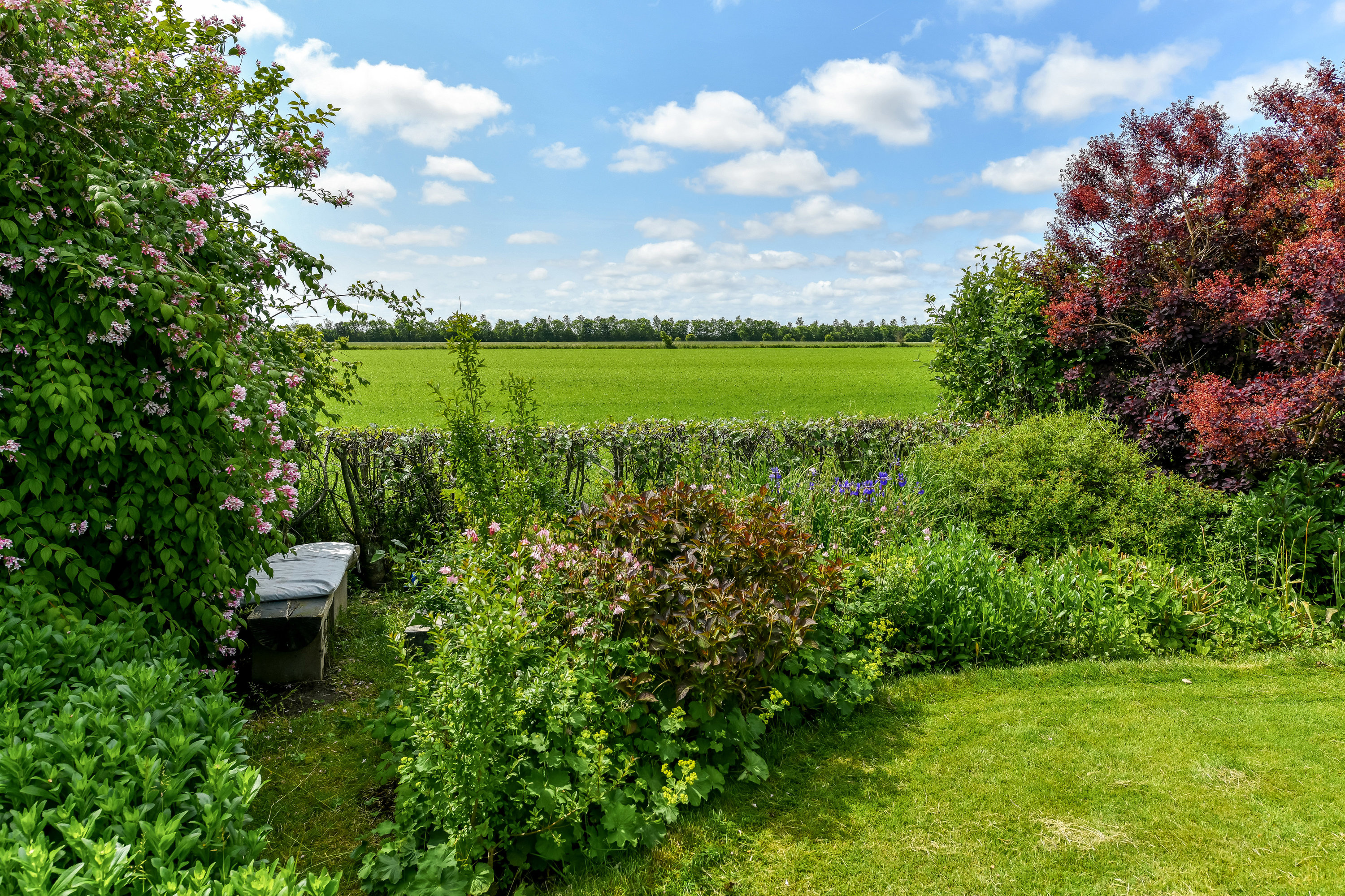 Fremhævet have billede i fuldskærmstilstand. Billede af Langlivej 15, 6852 Billum