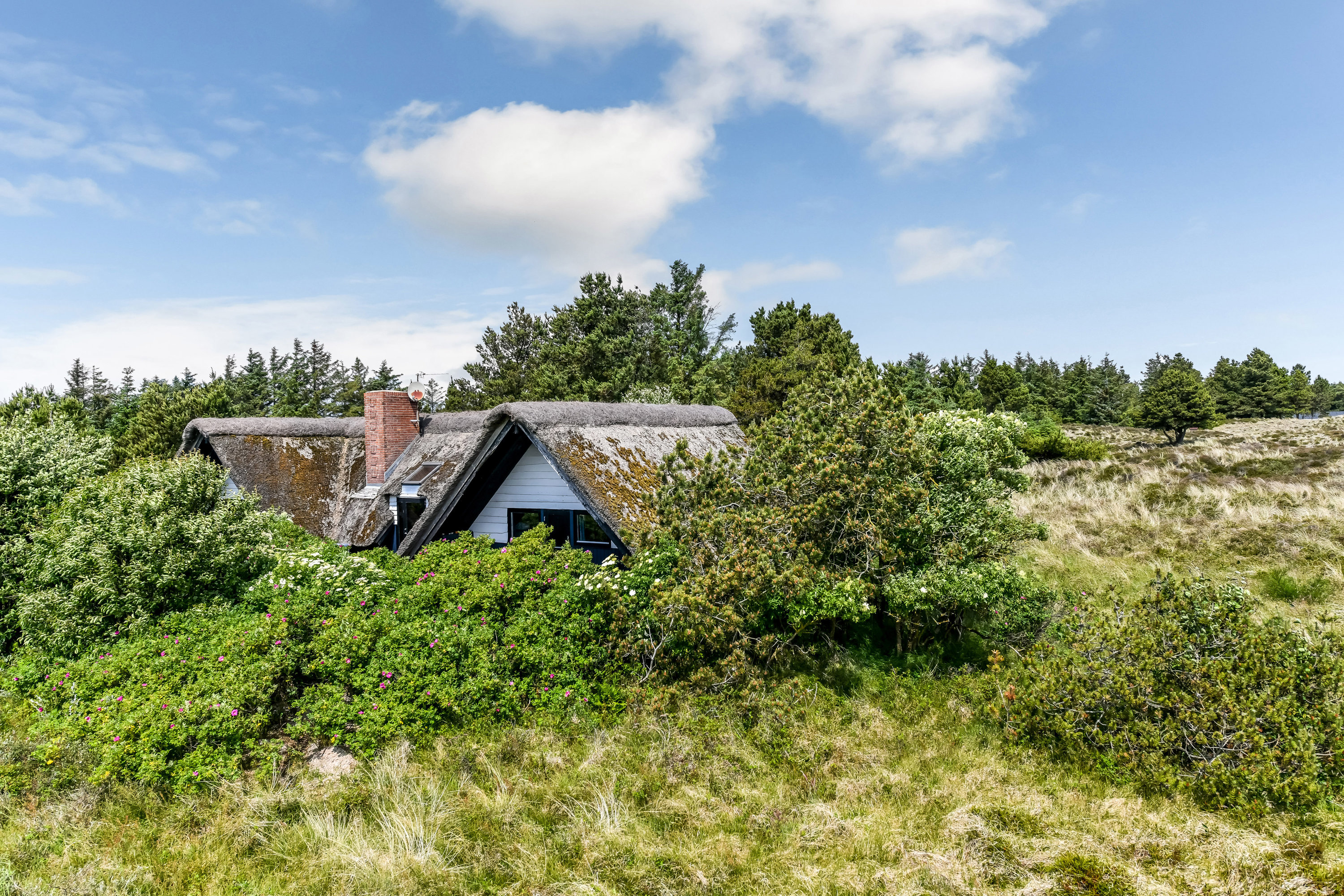 Fremhævet ejendommen billede i fuldskærmstilstand. Billede af Grønningen 17, 6857 Blåvand