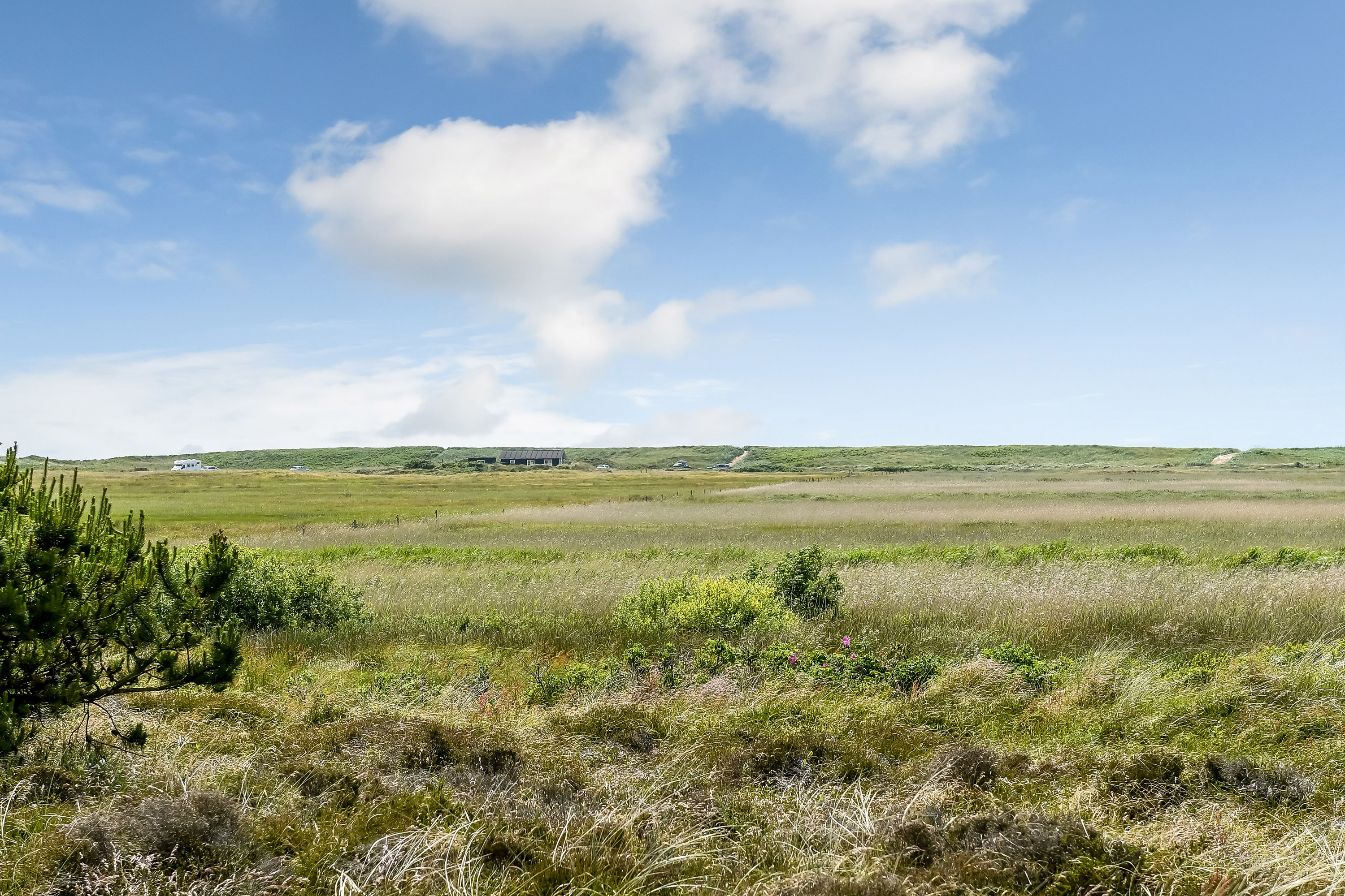 Fremhævet område billede i fuldskærmstilstand. Billede af Grønningen 17, 6857 Blåvand
