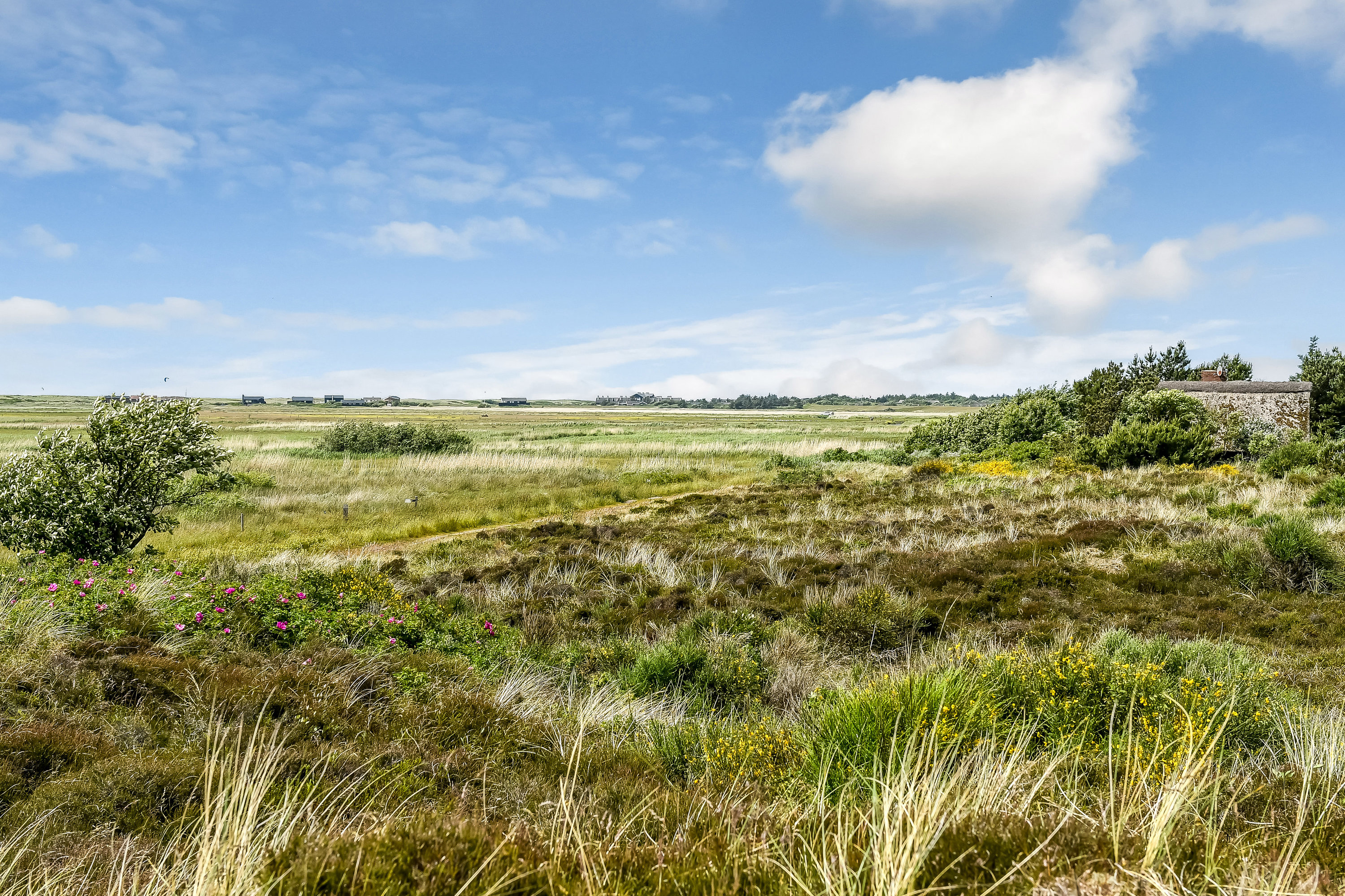 Fremhævet område billede i fuldskærmstilstand. Billede af Grønningen 17, 6857 Blåvand