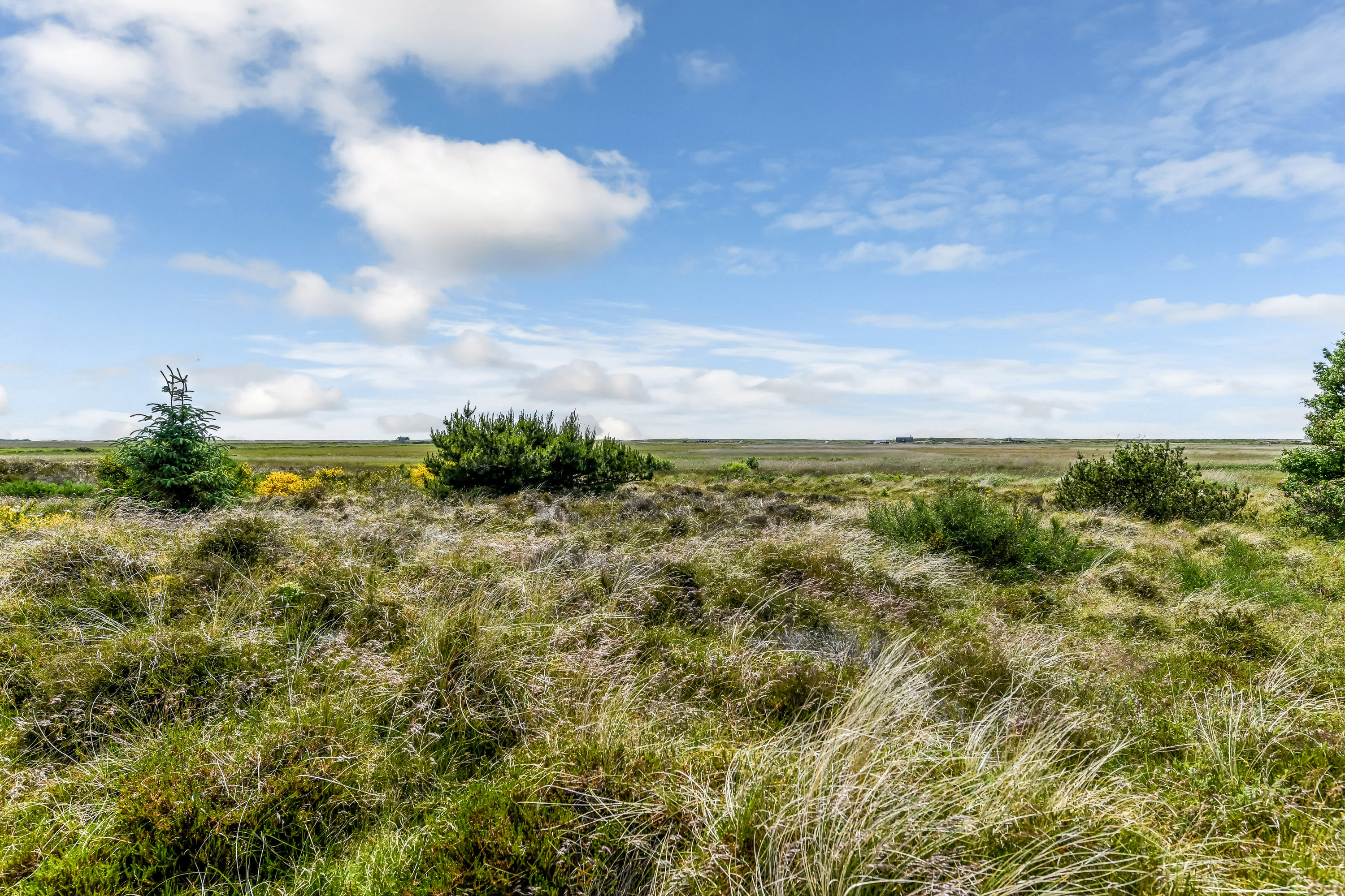 Fremhævet område billede i fuldskærmstilstand. Billede af Grønningen 17, 6857 Blåvand