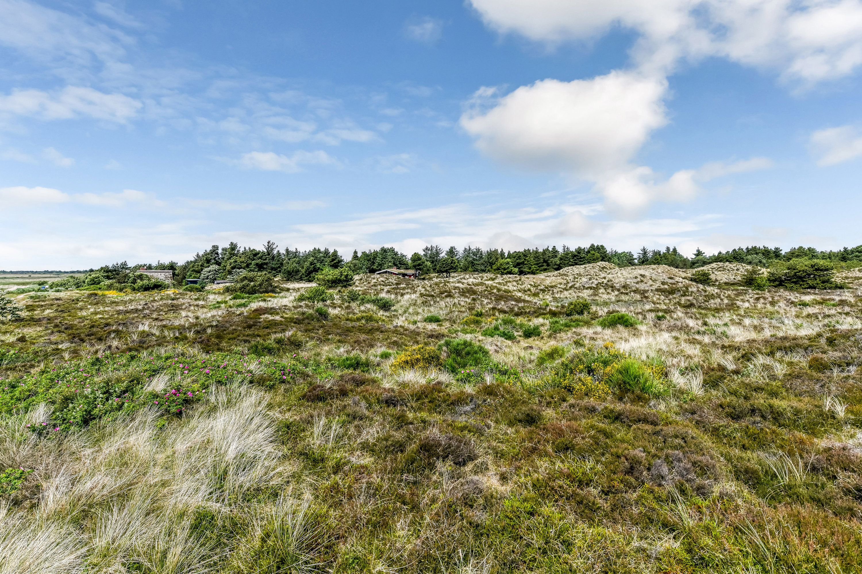 Miniaturebillede 1: område. Billede af Grønningen 17, 6857 Blåvand