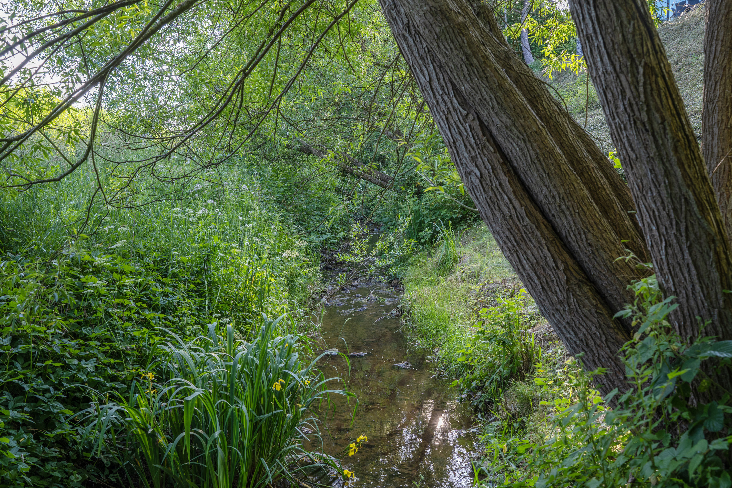 Fremhævet  billede i fuldskærmstilstand. Billede af Rønnevej 17, 5620 Glamsbjerg