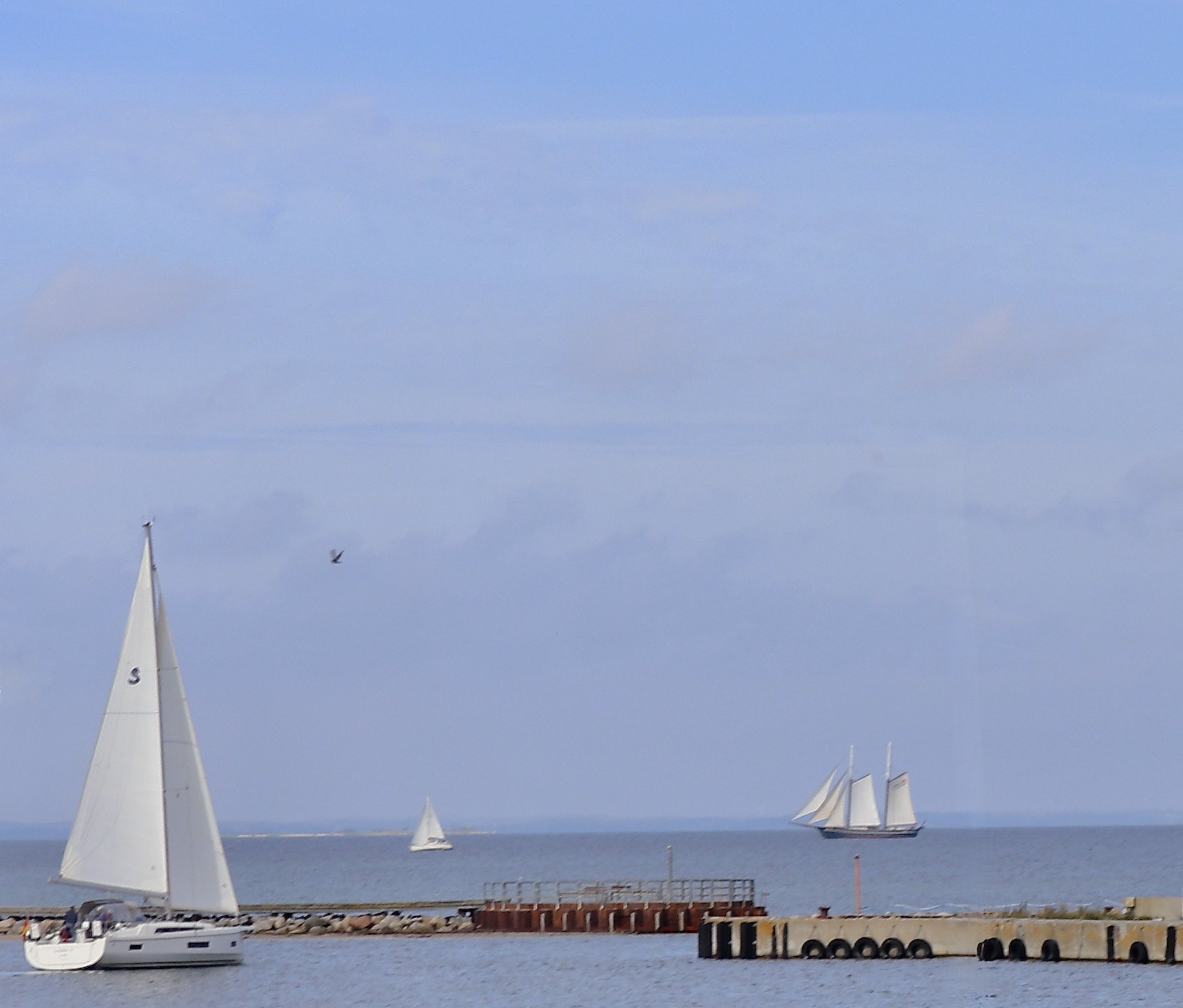 Fremhævet  billede i fuldskærmstilstand. Billede af Ved Stranden 8, 5610 Assens