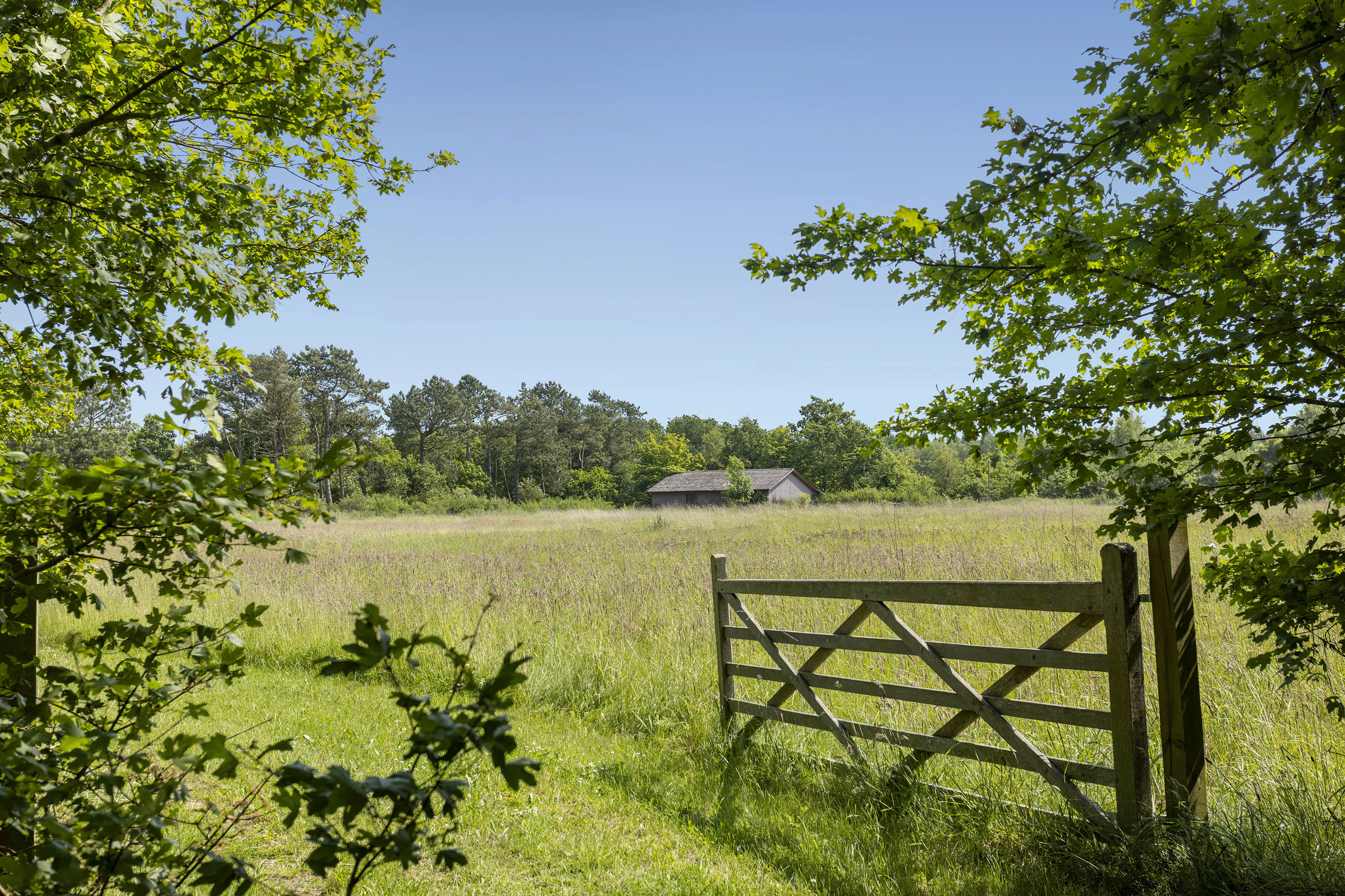 Fremhævet have billede i fuldskærmstilstand. Billede af Sandenvej 1, Lyngså, 9300 Sæby