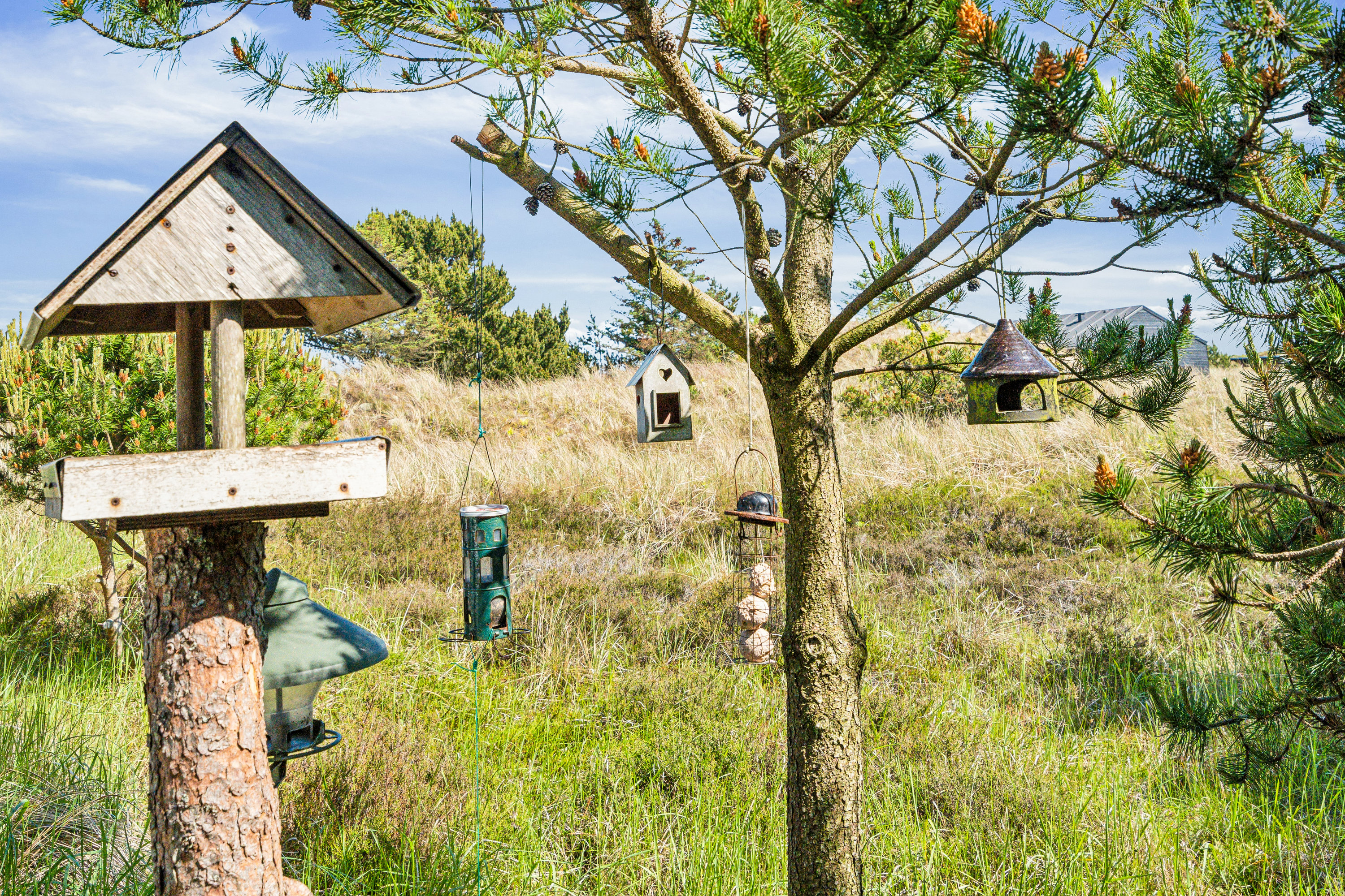 Fremhævet have billede i fuldskærmstilstand. Billede af Perlevej 2, Bunken, 9982 Ålbæk