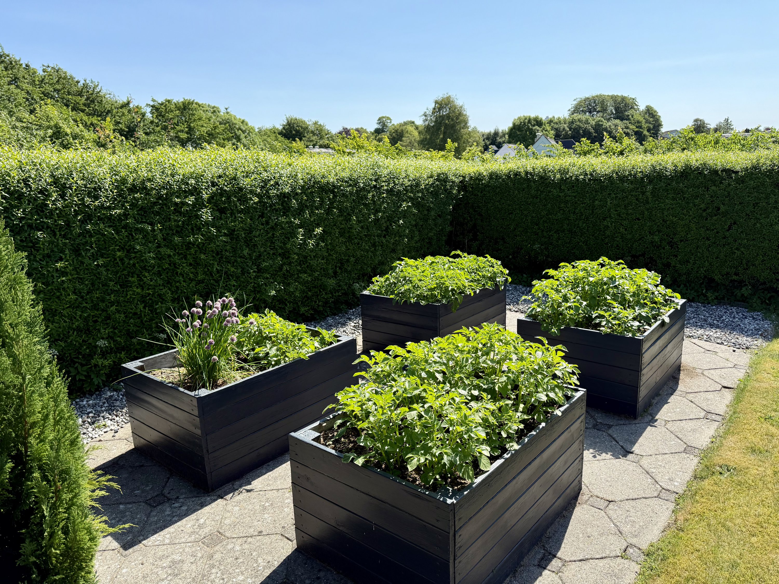 Fremhævet haven billede i fuldskærmstilstand. Billede af Tranekær 48, Vester Hassing, 9310 Vodskov