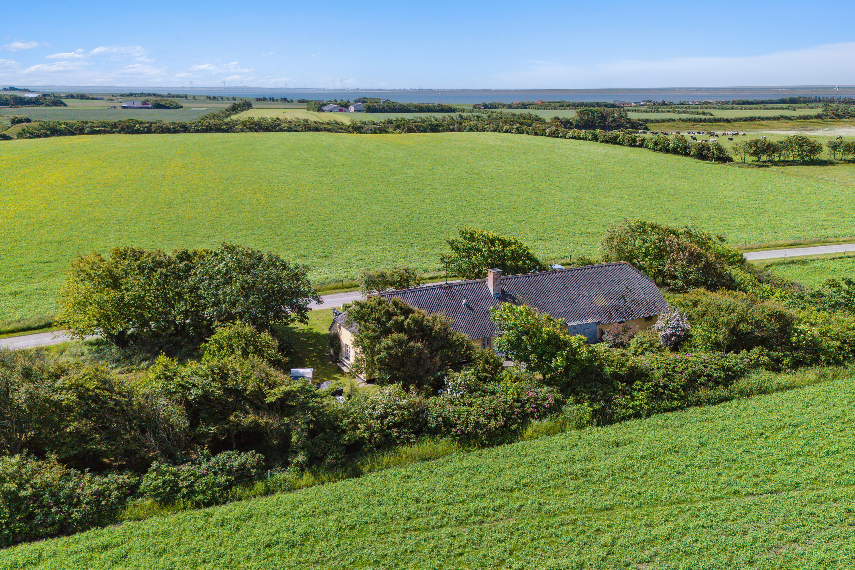 Fremhævet set fra haven billede i fuldskærmstilstand. Billede af Aggervej 3, 7770 Vestervig