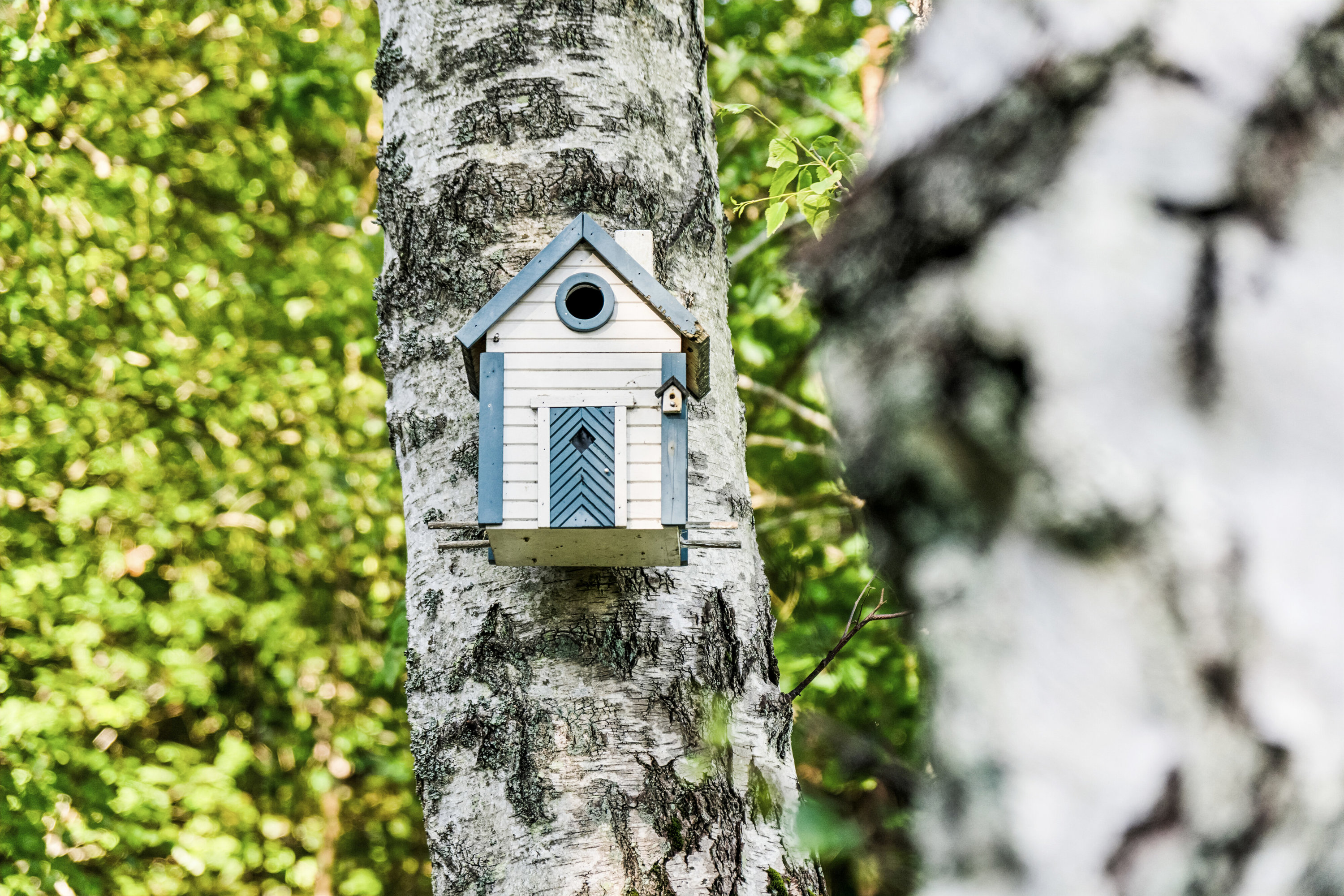 Fremhævet udendørs billede i fuldskærmstilstand. Billede af Skovgyden 3, Gudmindrup Lyng, 4573 Højby