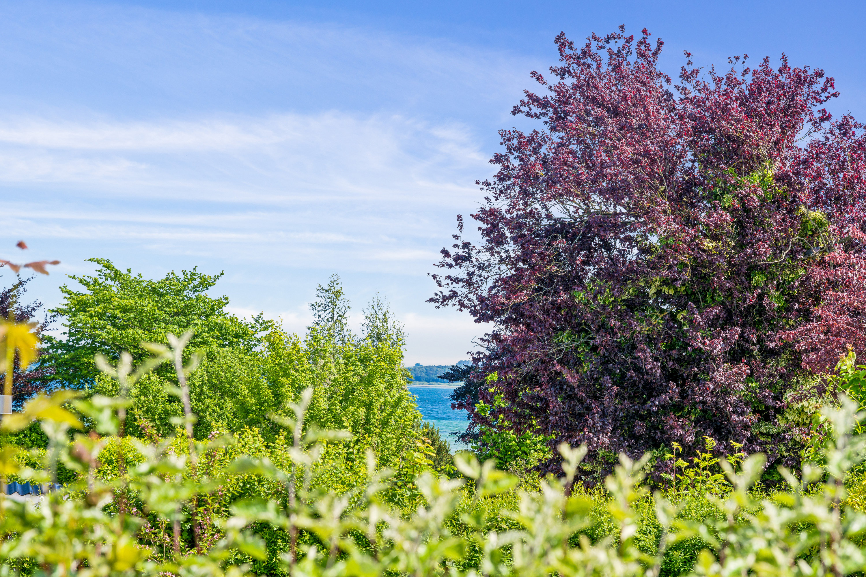 Miniaturebillede 1: have. Billede af Perikumvej 10, 8250 Egå