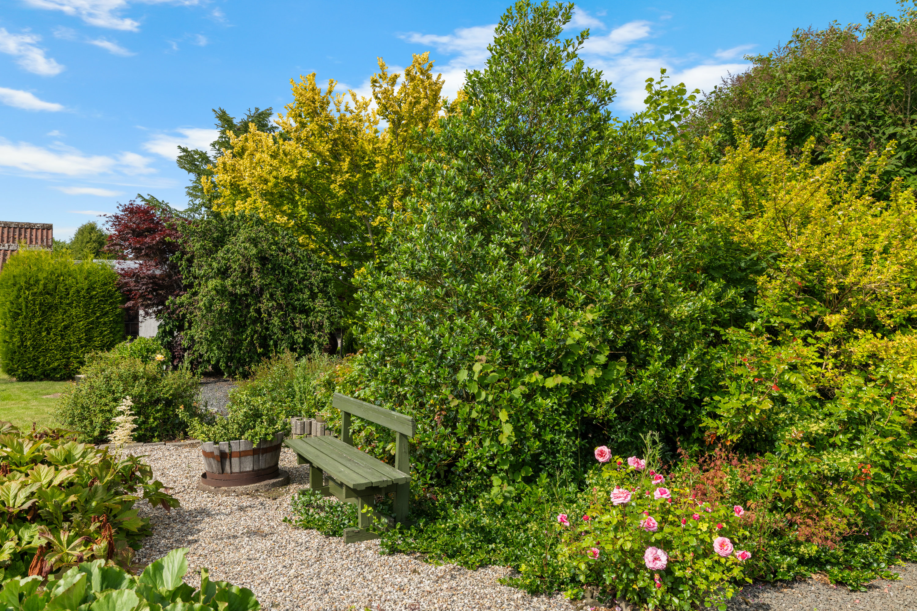 Fremhævet have billede i fuldskærmstilstand. Billede af Højrupvej 52, Højrup, 5750 Ringe