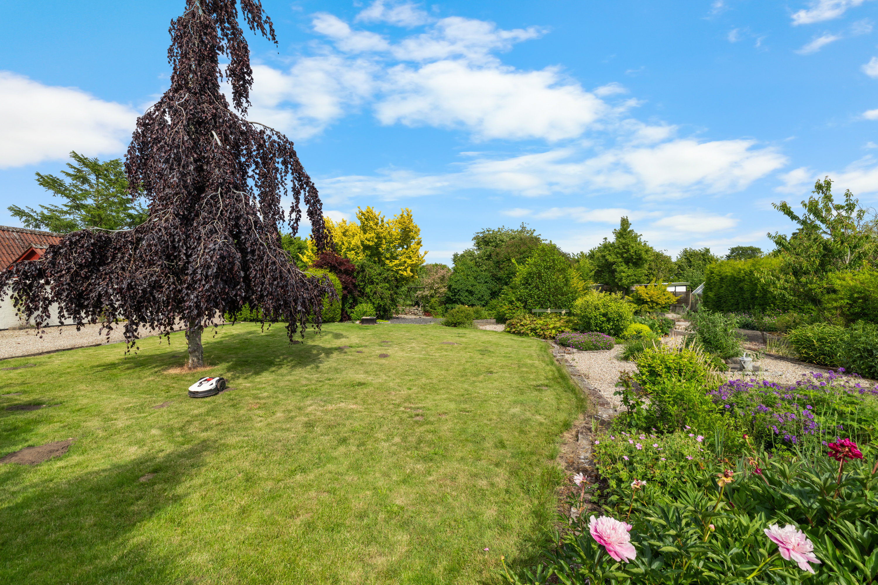 Miniaturebillede 1: have. Billede af Højrupvej 52, Højrup, 5750 Ringe