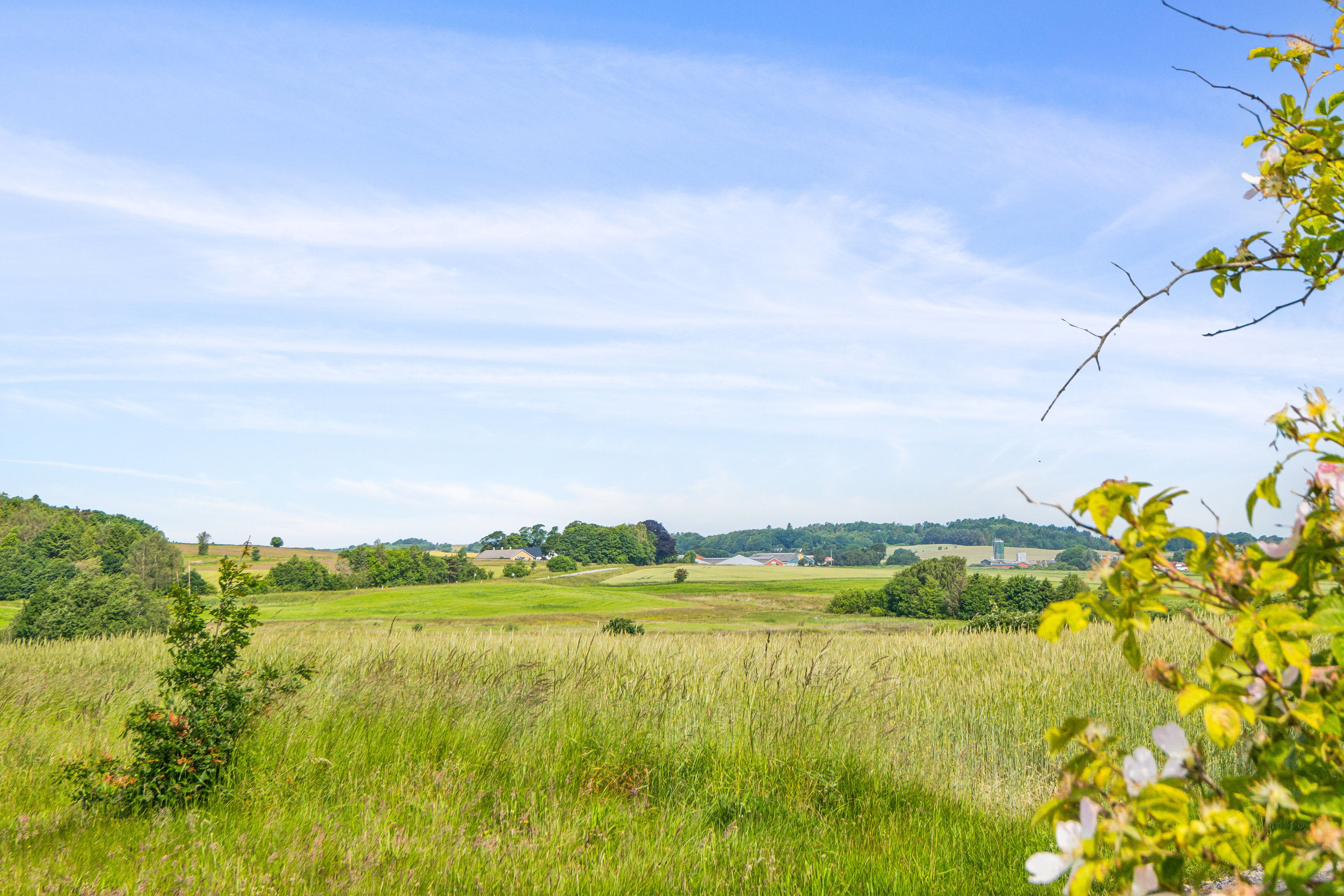 Fremhævet have billede i fuldskærmstilstand. Billede af Nibevej 204, Øster Hornum, 9530 Støvring