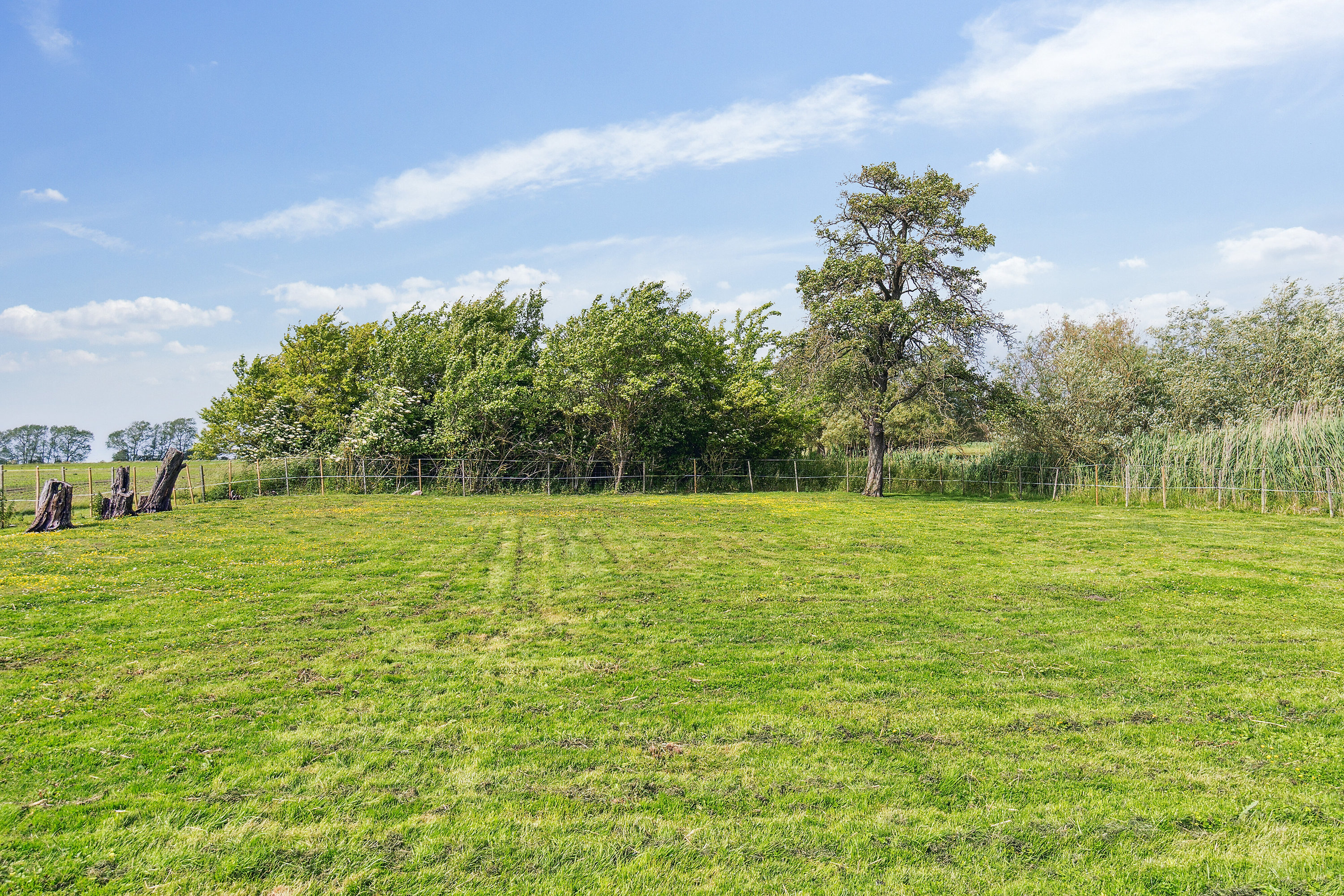 Fremhævet have billede i fuldskærmstilstand. Billede af Lodagervej 10, Hejninge, 4200 Slagelse