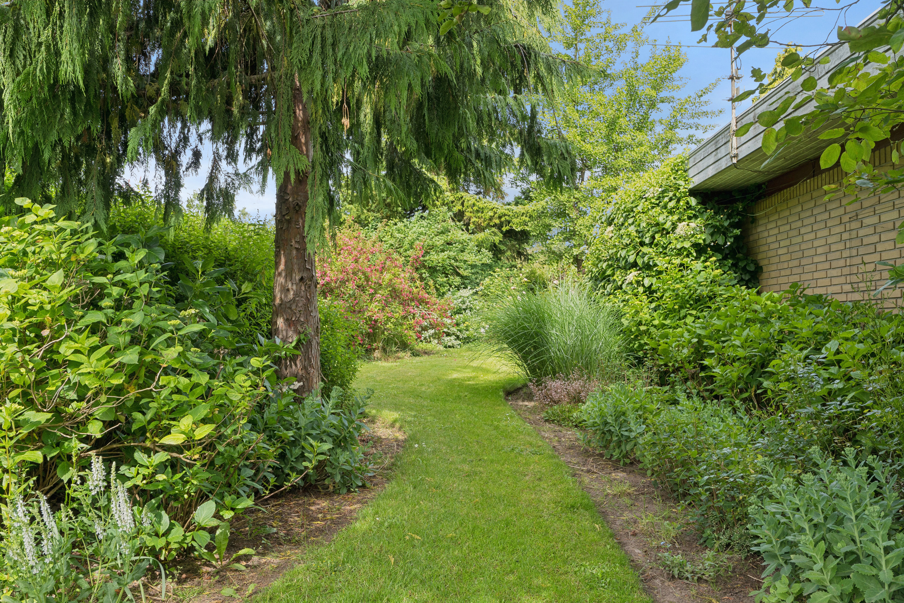 Fremhævet have billede i fuldskærmstilstand. Billede af Rødgranen 11, 8620 Kjellerup