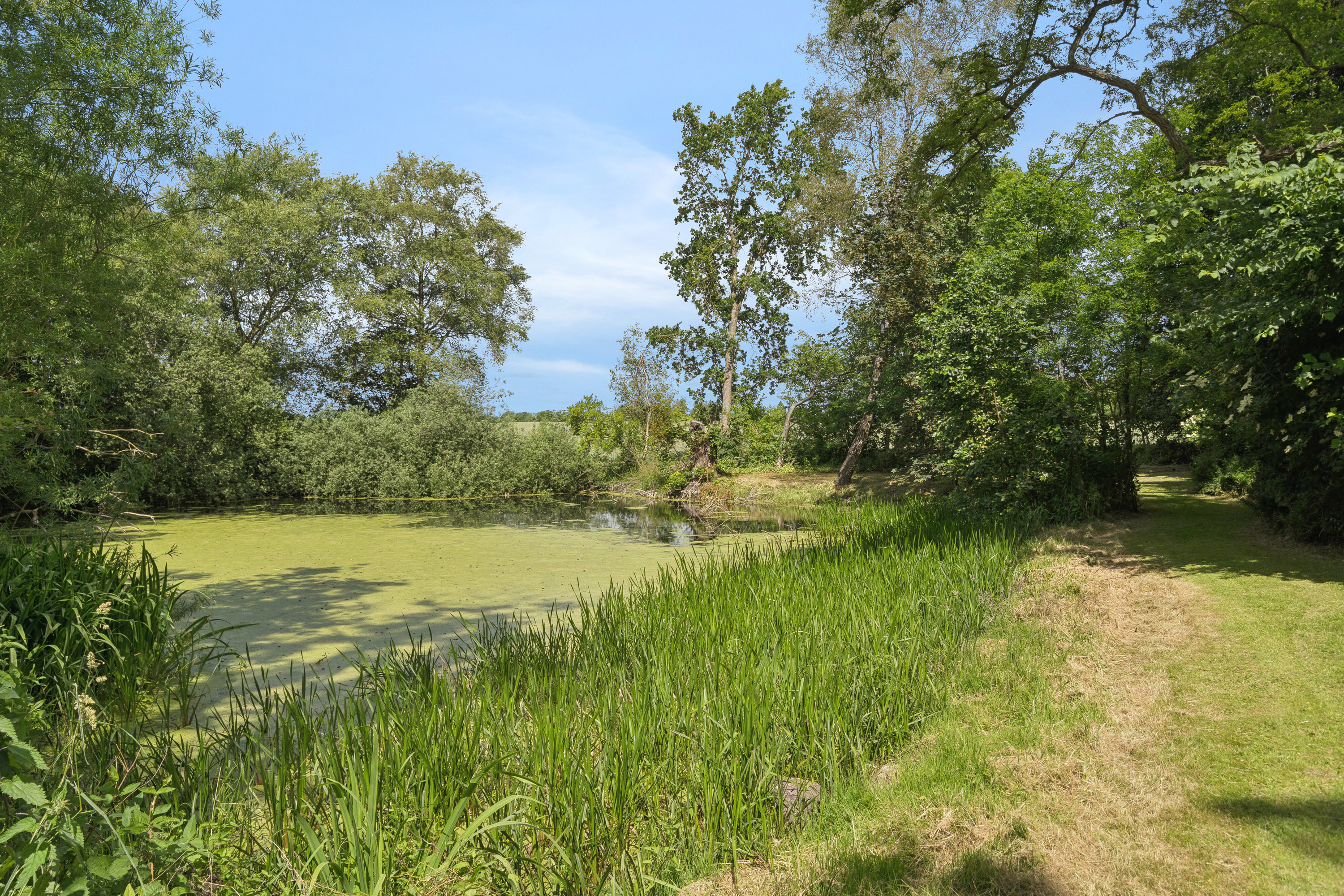 Fremhævet have - sø billede i fuldskærmstilstand. Billede af Krogen 5, Lørup, 5750 Ringe