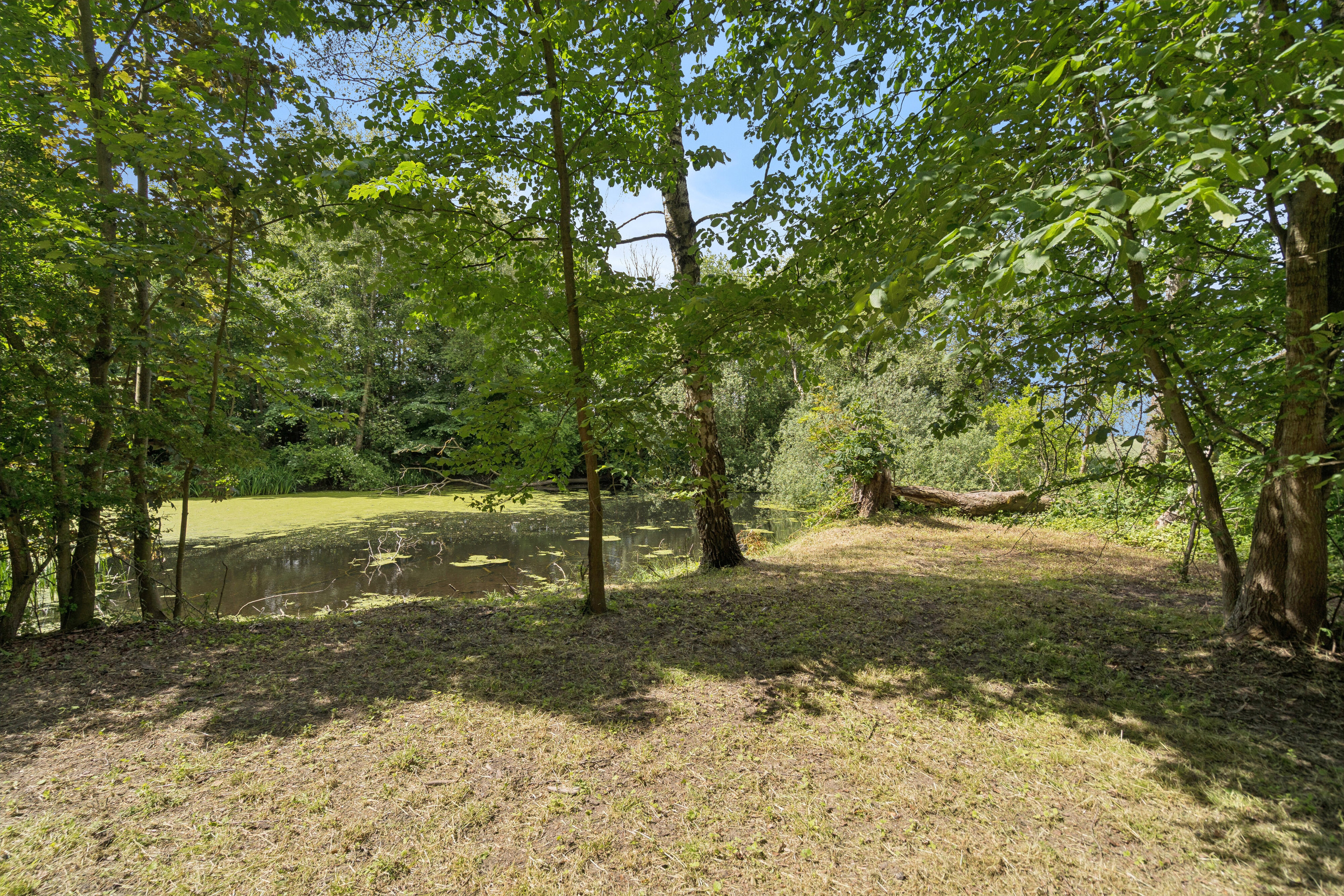 Fremhævet have - sø billede i fuldskærmstilstand. Billede af Krogen 5, Lørup, 5750 Ringe