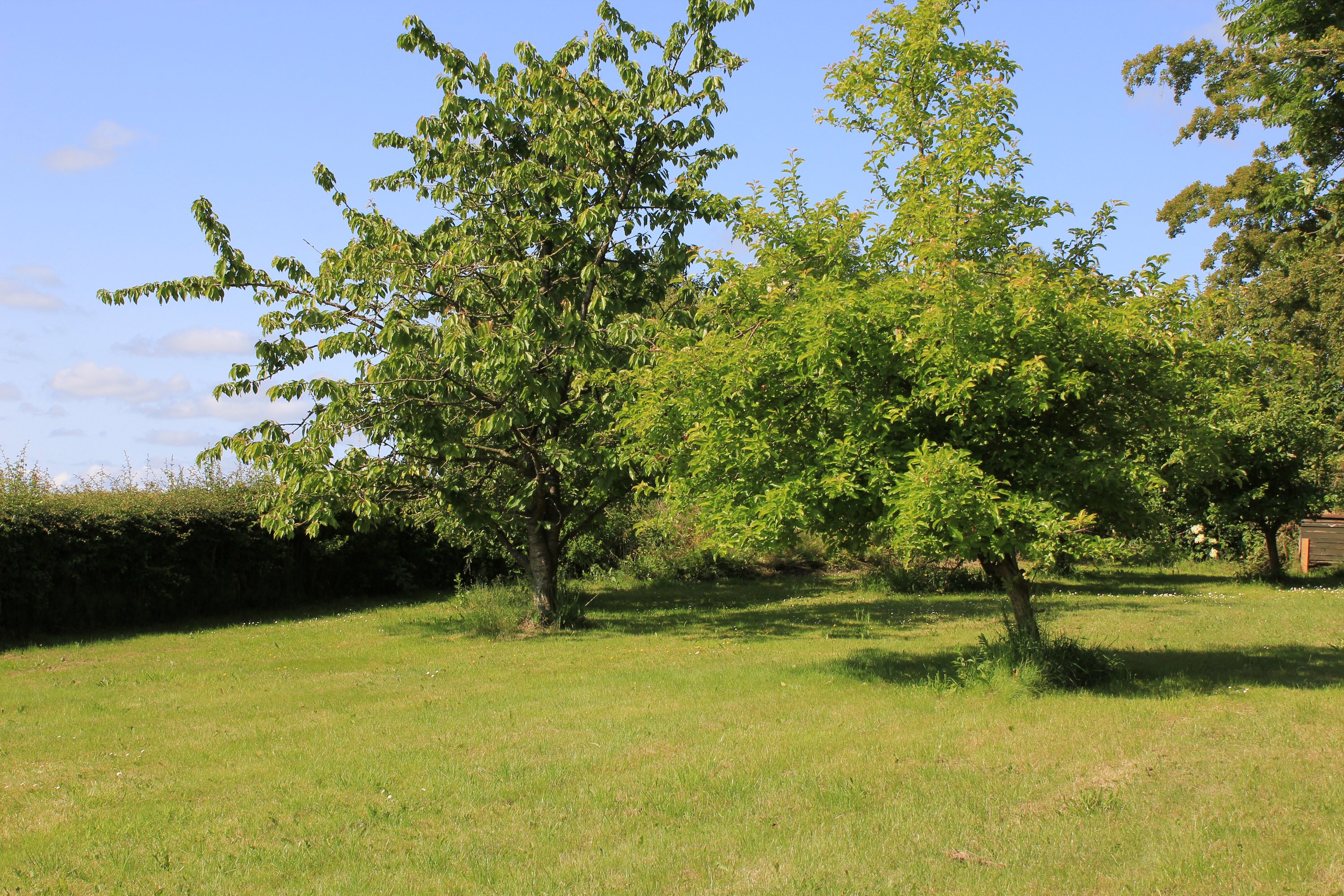 Fremhævet  billede i fuldskærmstilstand. Billede af Kragelundvej 2, Hjerm, 7830 Vinderup