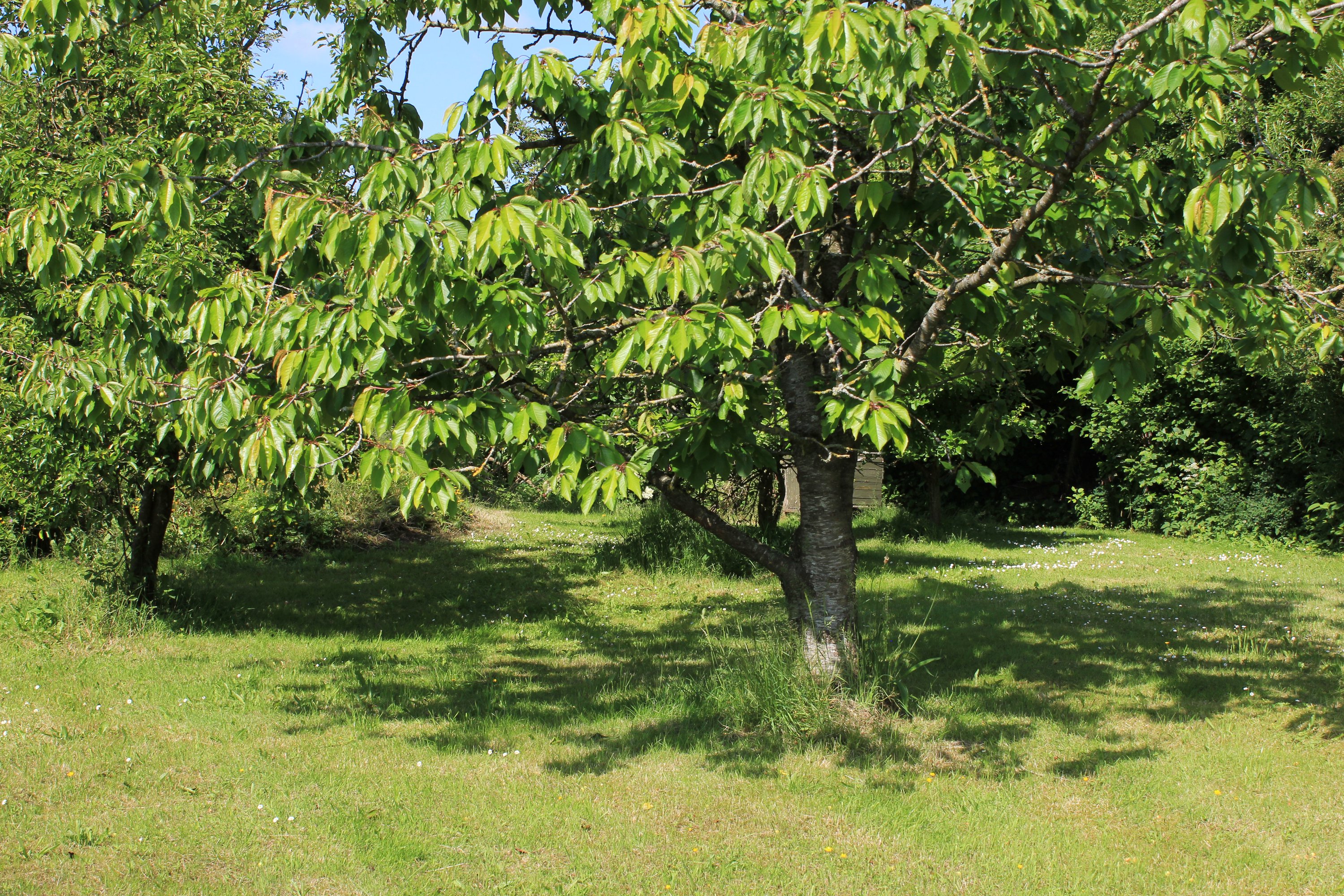Fremhævet  billede i fuldskærmstilstand. Billede af Kragelundvej 2, Hjerm, 7830 Vinderup