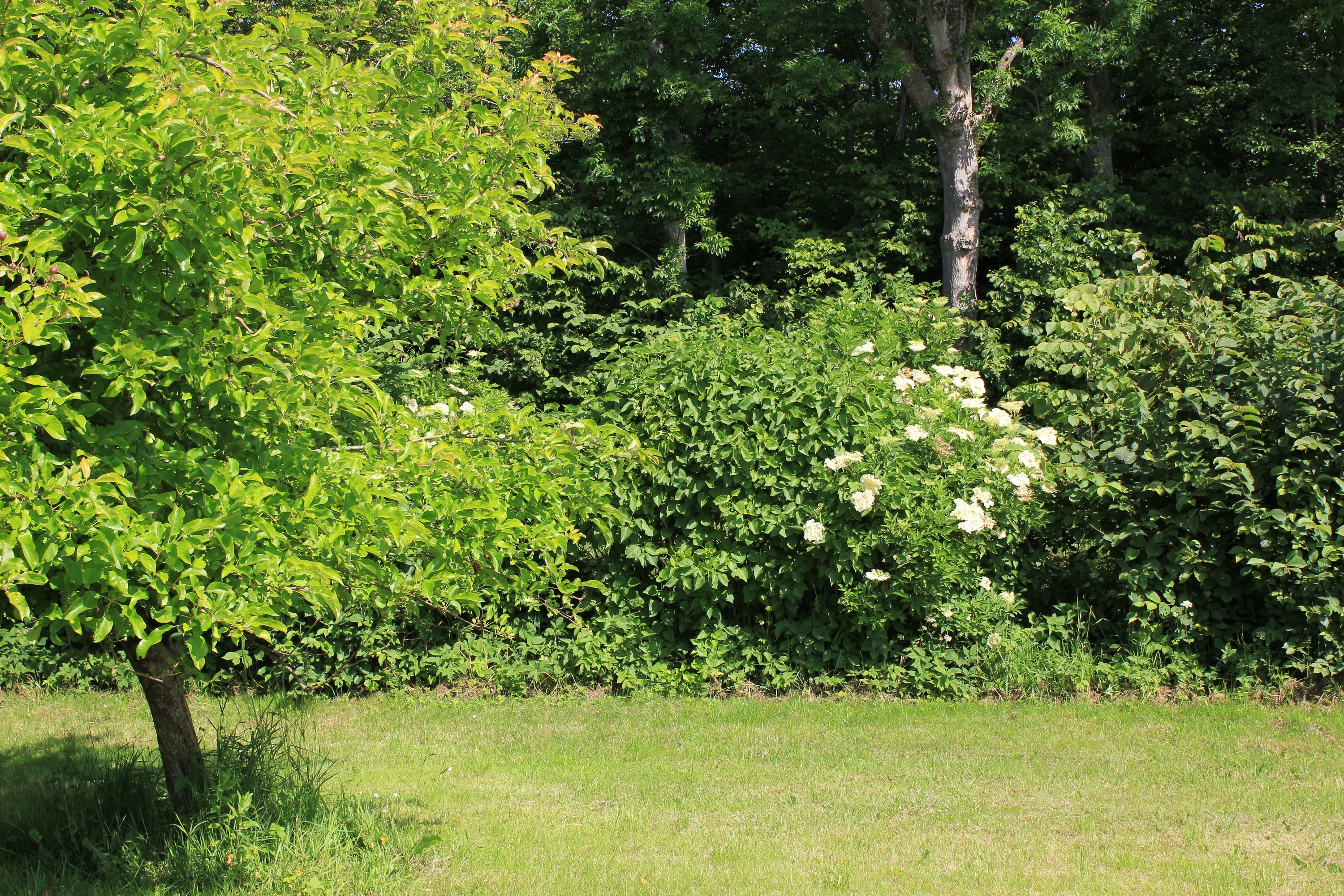 Fremhævet  billede i fuldskærmstilstand. Billede af Kragelundvej 2, Hjerm, 7830 Vinderup