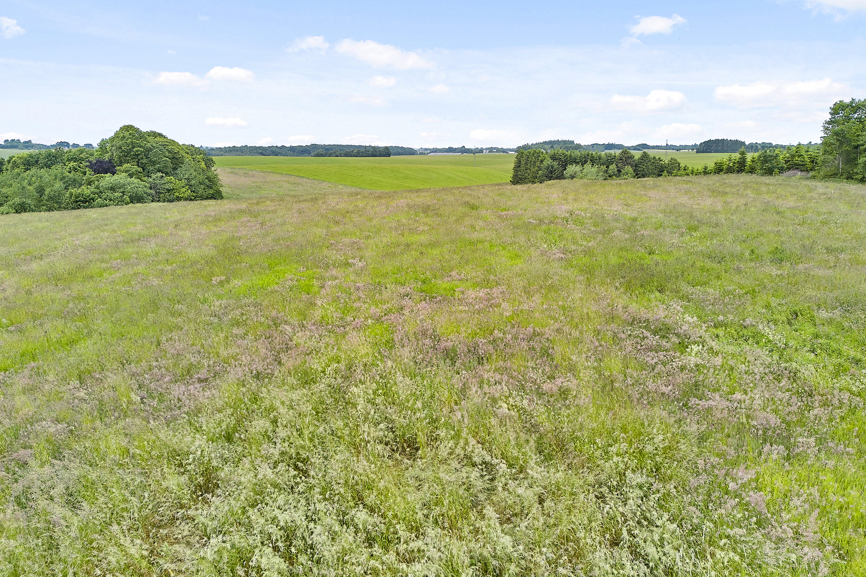 Fremhævet  billede i fuldskærmstilstand. Billede af Ring Søpark II 1, 8740 Brædstrup