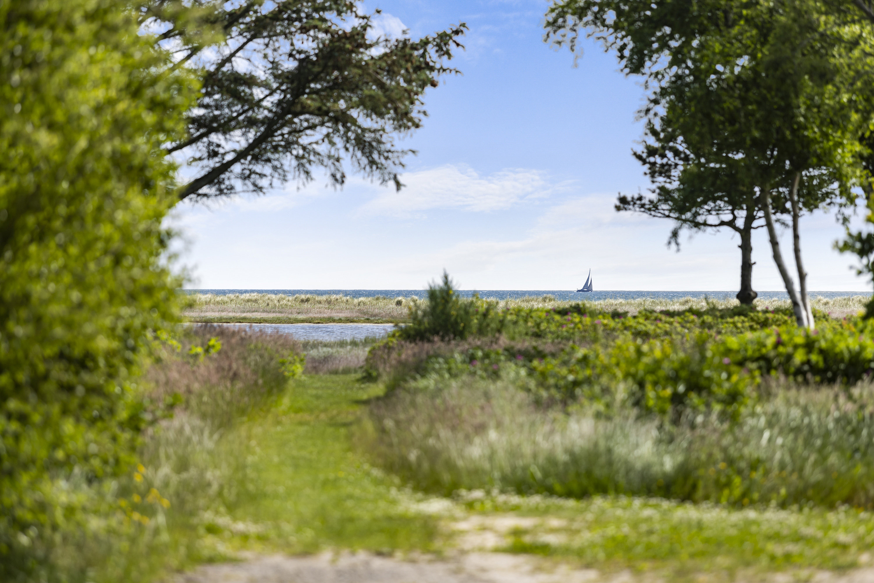 Fremhævet omgivelser billede i fuldskærmstilstand. Billede af Mågevej 1, Hou, 9370 Hals