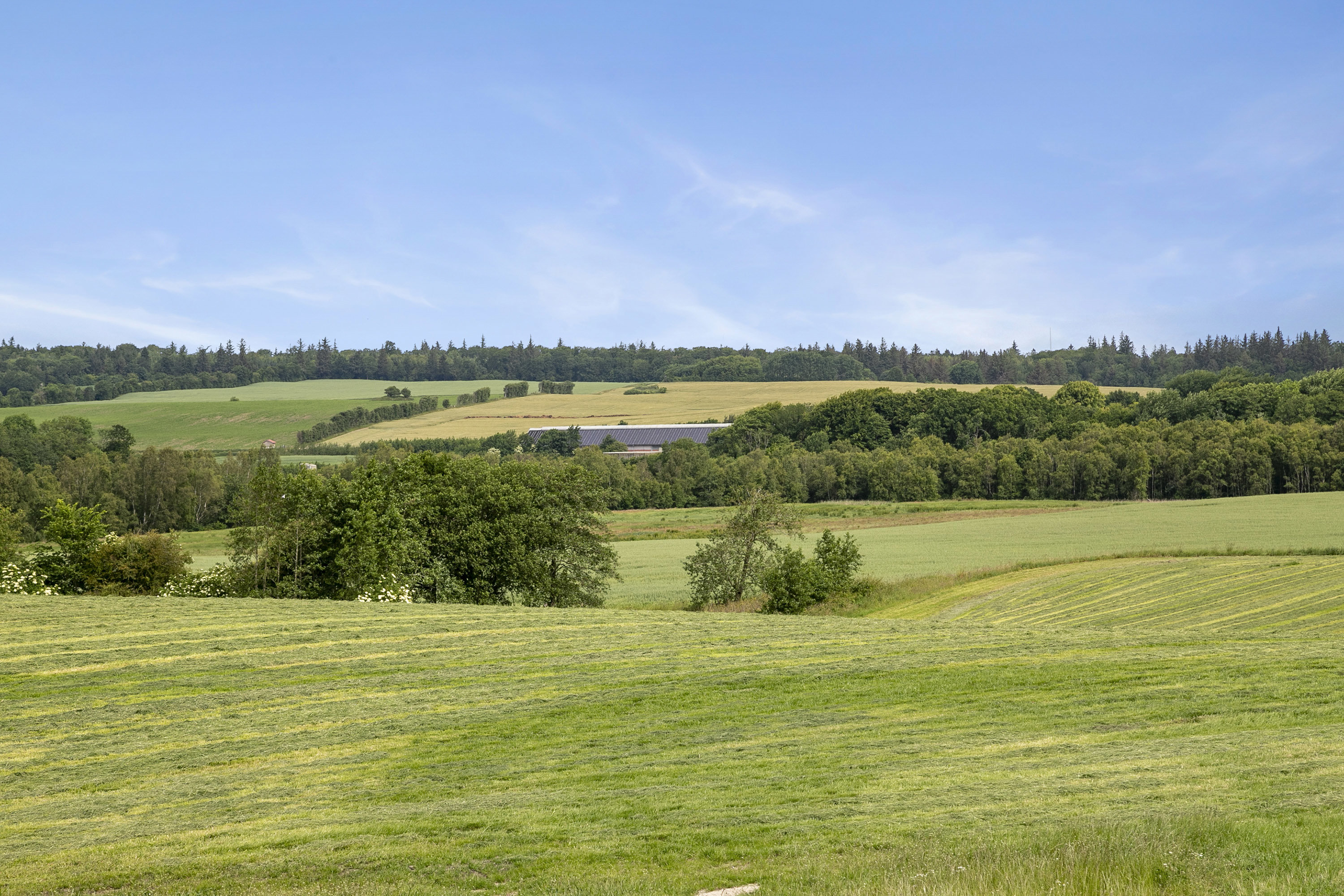 Fremhævet udsigt billede i fuldskærmstilstand. Billede af Korsholmvej 260, Vesterbølle, 9631 Gedsted