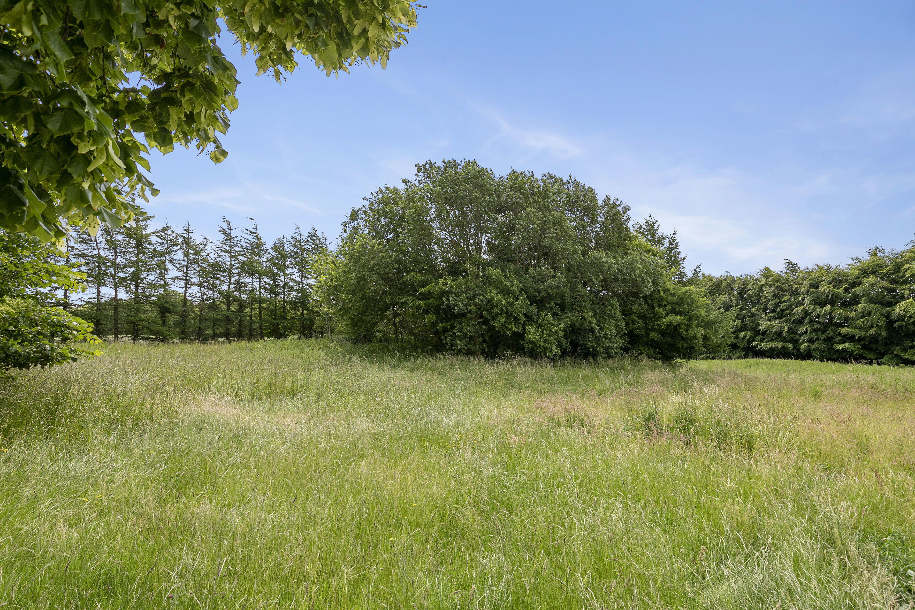 Fremhævet grunden billede i fuldskærmstilstand. Billede af Korsholmvej 260, Vesterbølle, 9631 Gedsted