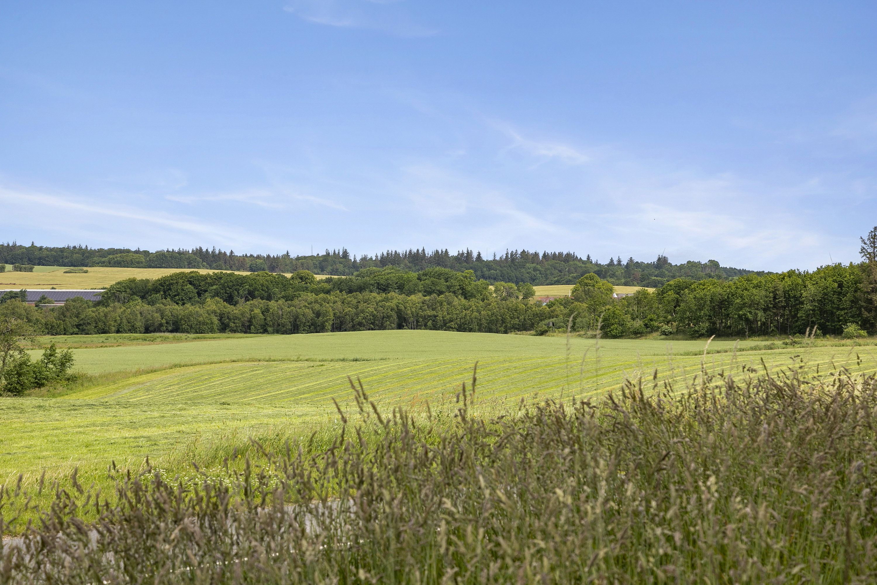 Fremhævet udsigt billede i fuldskærmstilstand. Billede af Korsholmvej 260, Vesterbølle, 9631 Gedsted
