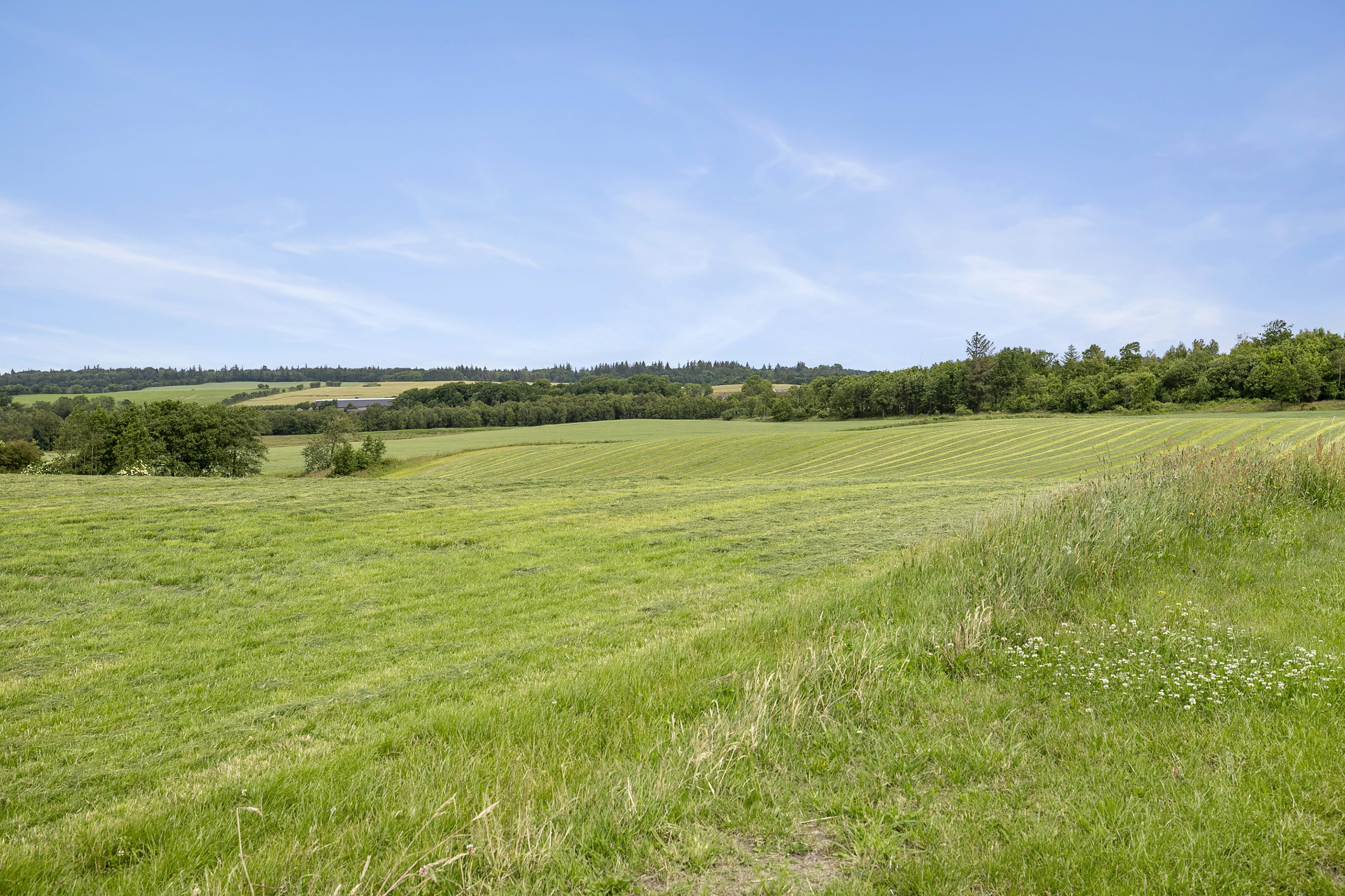 Fremhævet udsigt billede i fuldskærmstilstand. Billede af Korsholmvej 260, Vesterbølle, 9631 Gedsted