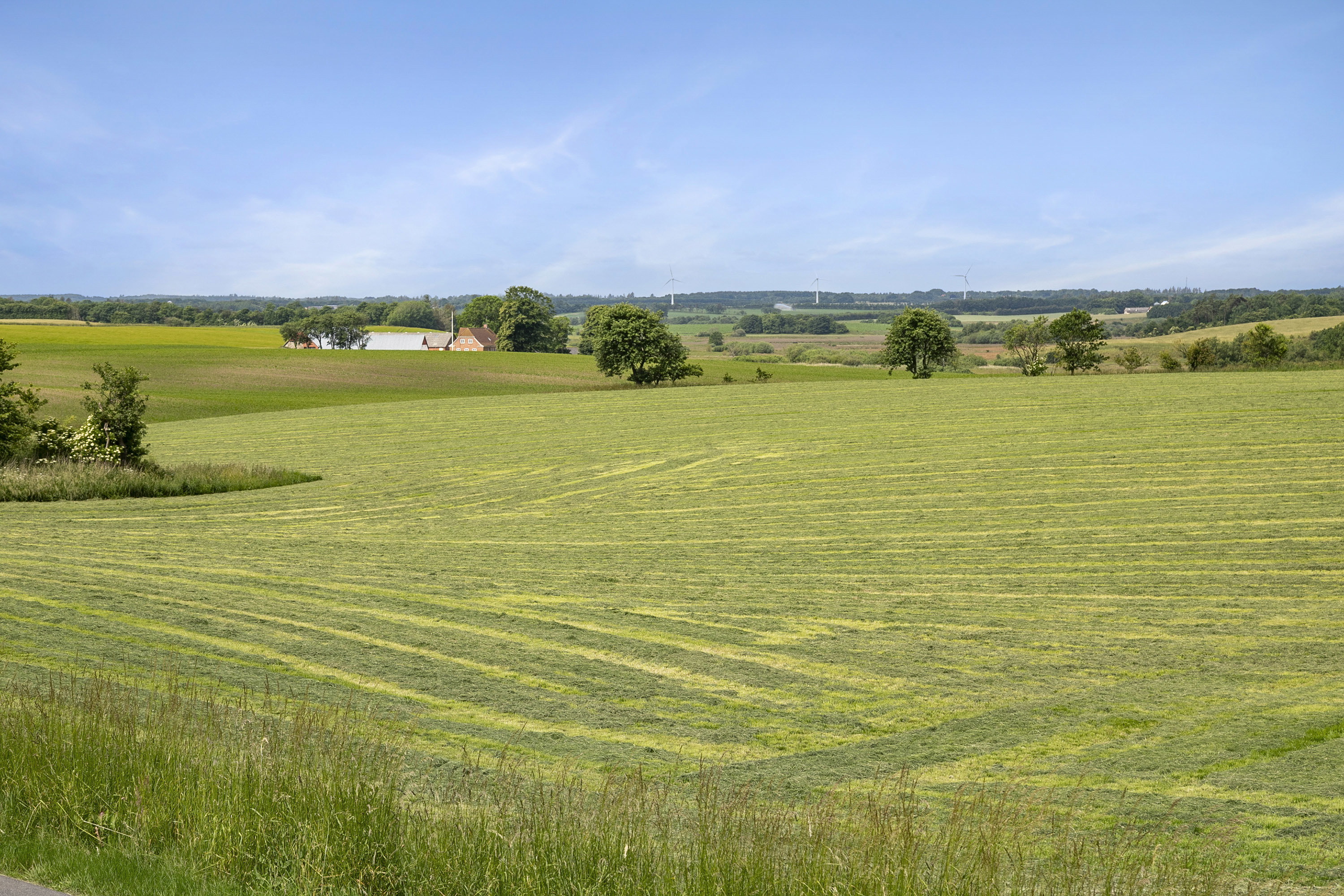 Fremhævet udsigt billede i fuldskærmstilstand. Billede af Korsholmvej 260, Vesterbølle, 9631 Gedsted