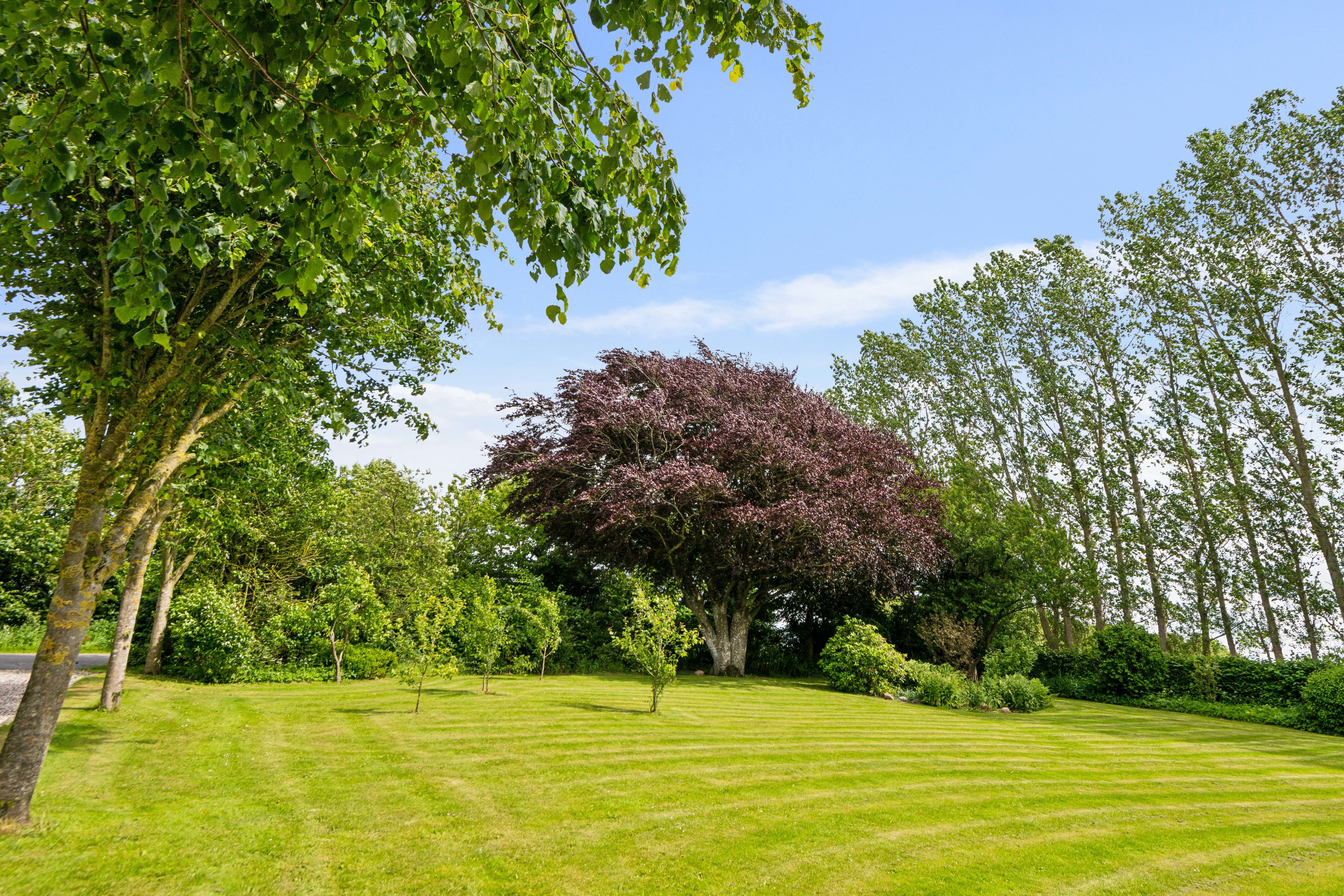 Fremhævet have billede i fuldskærmstilstand. Billede af Byrstedvej 73, 9240 Nibe