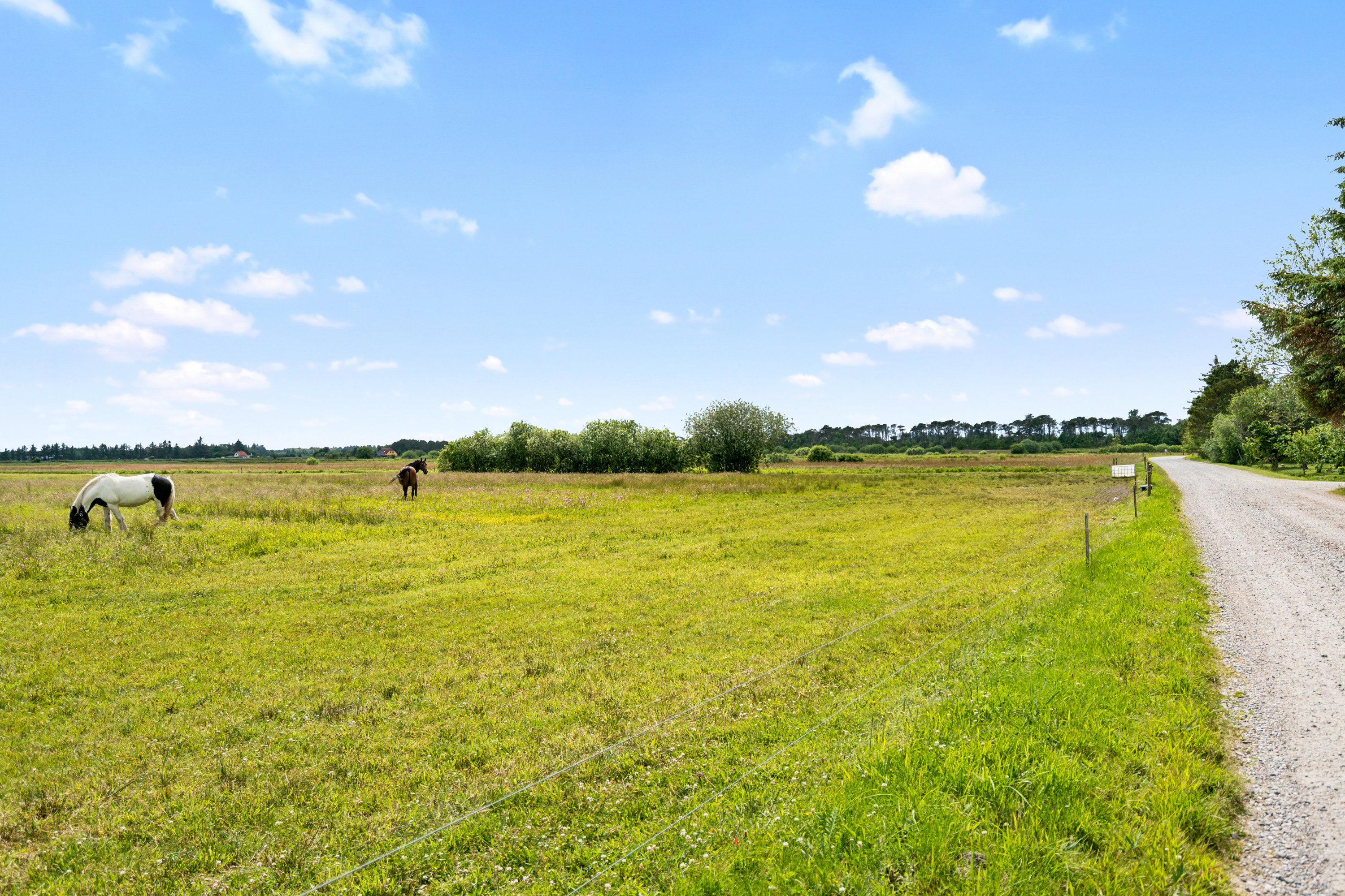 Fremhævet område billede i fuldskærmstilstand. Billede af Tranebærvej 2, Napstjert, 9981 Jerup