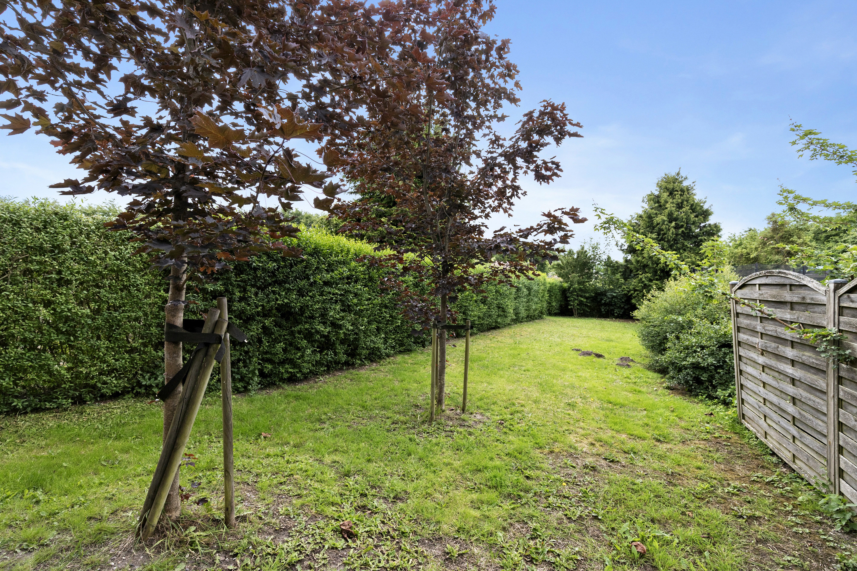 Fremhævet ejendommen billede i fuldskærmstilstand. Billede af Børupvej 365A, 8361 Hasselager