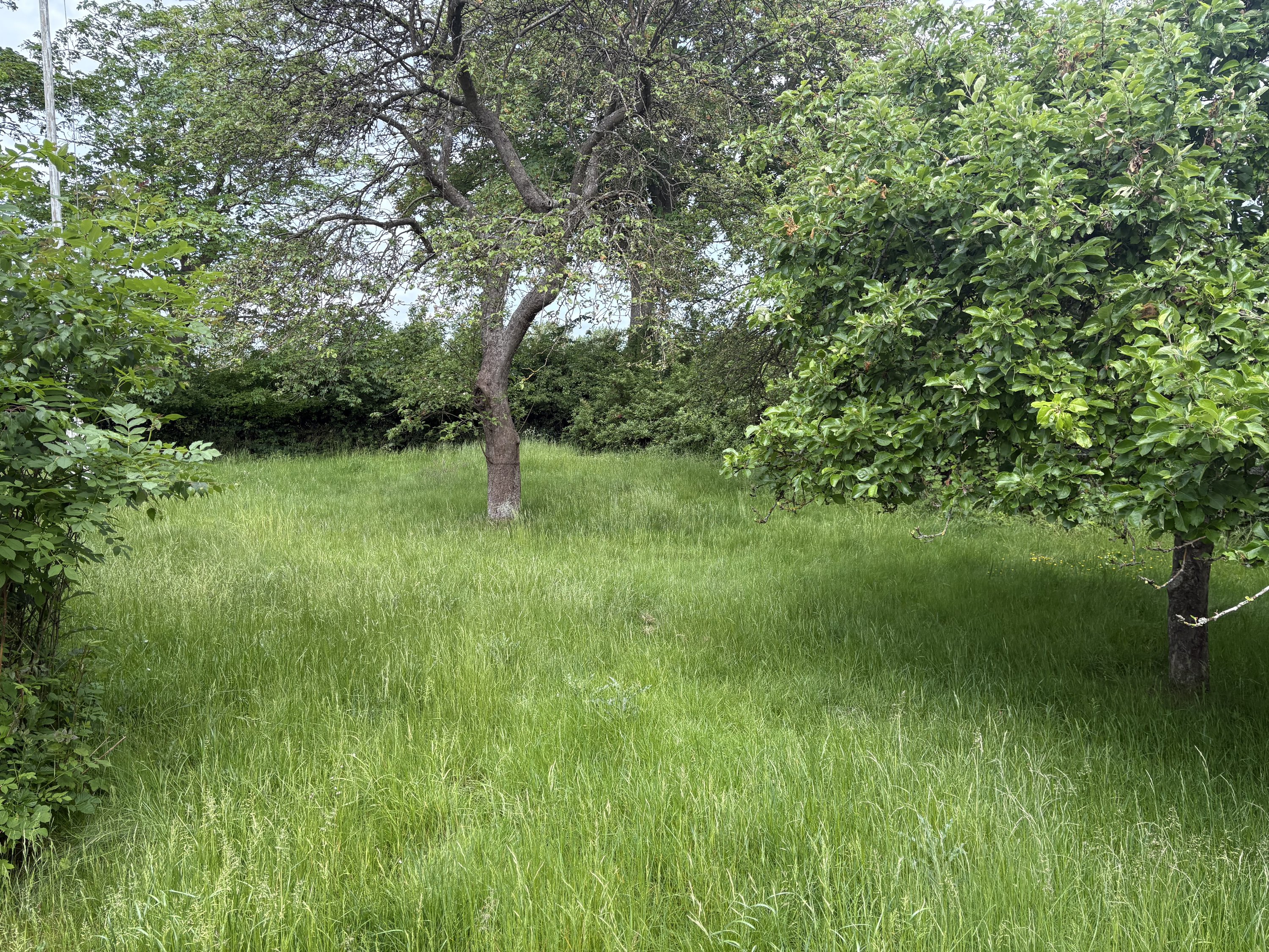 Fremhævet  billede i fuldskærmstilstand. Billede af Øverste Linievej 2, 4671 Strøby