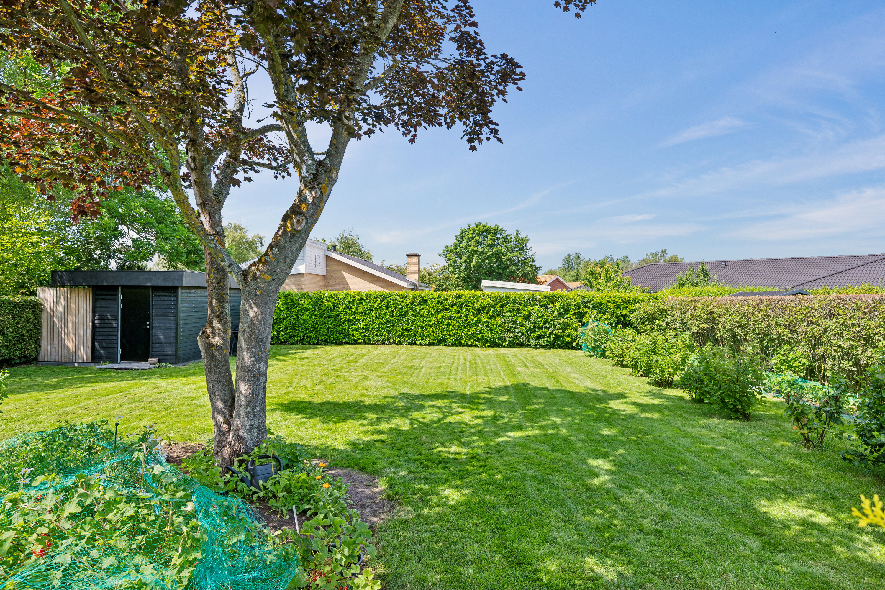 Fremhævet have billede i fuldskærmstilstand. Billede af Åmarksvej 7, 8250 Egå