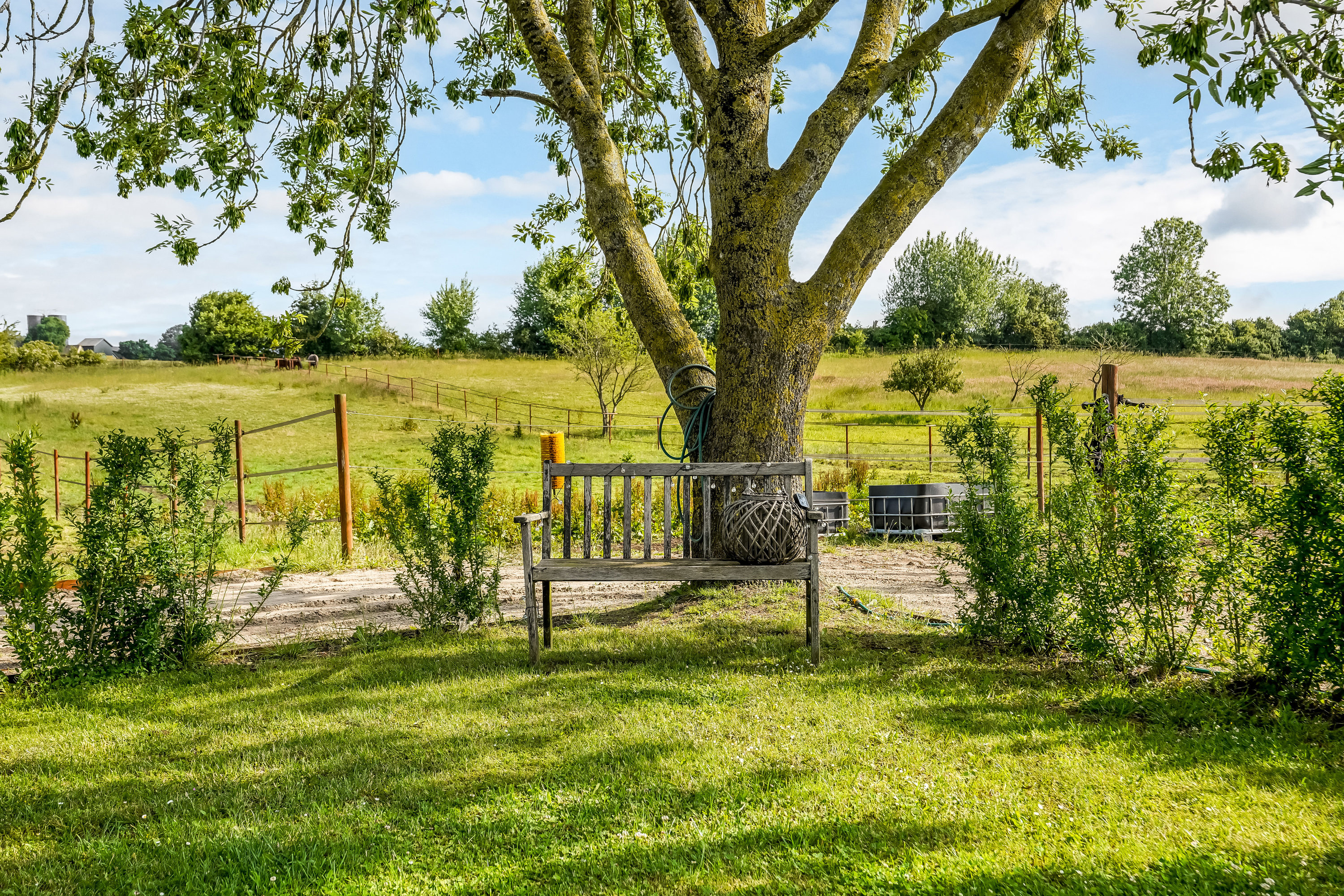 Fremhævet område billede i fuldskærmstilstand. Billede af Ejbyvej 20, 5592 Ejby