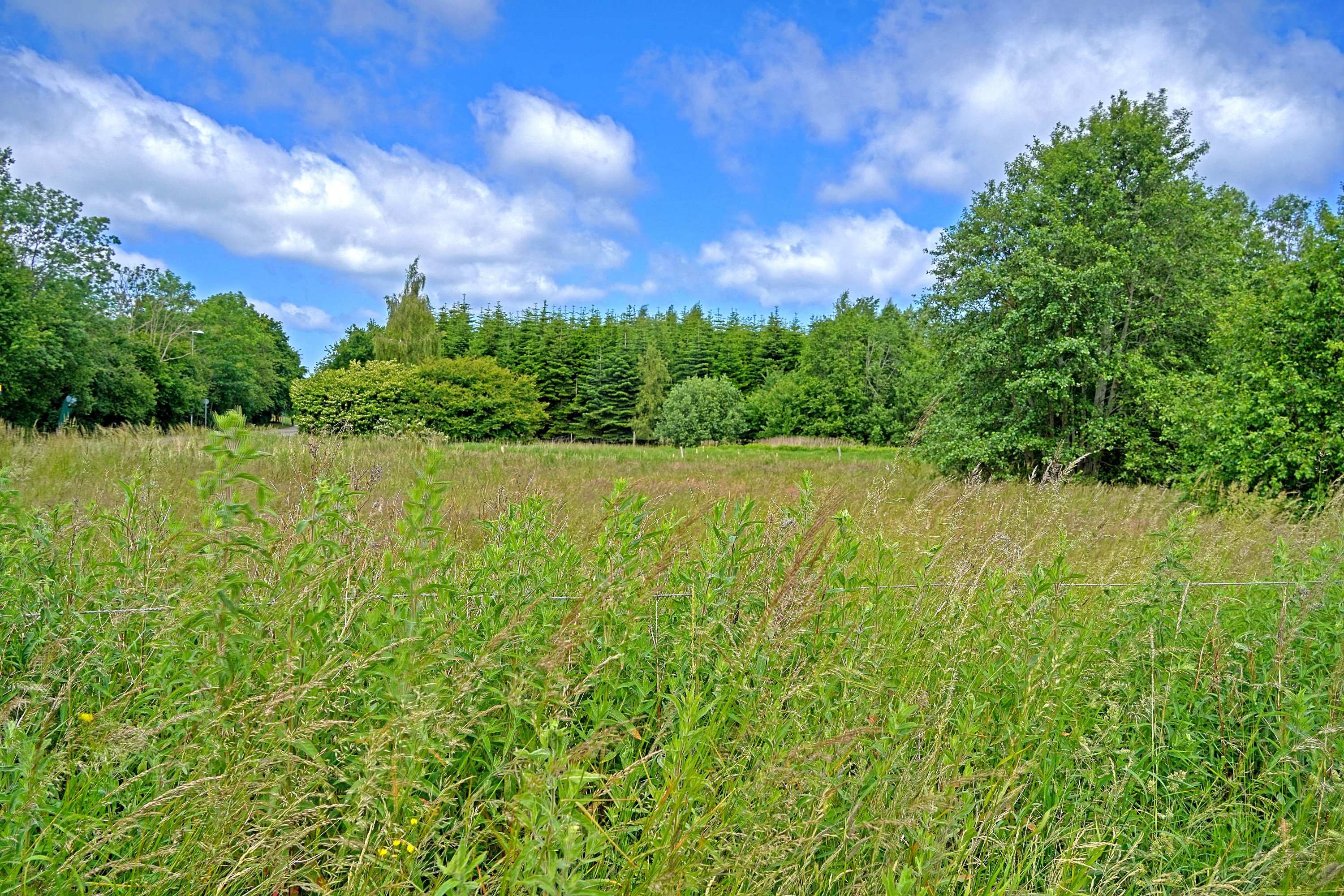 Fremhævet område billede i fuldskærmstilstand. Billede af Sauntevej 71A, 3100 Hornbæk