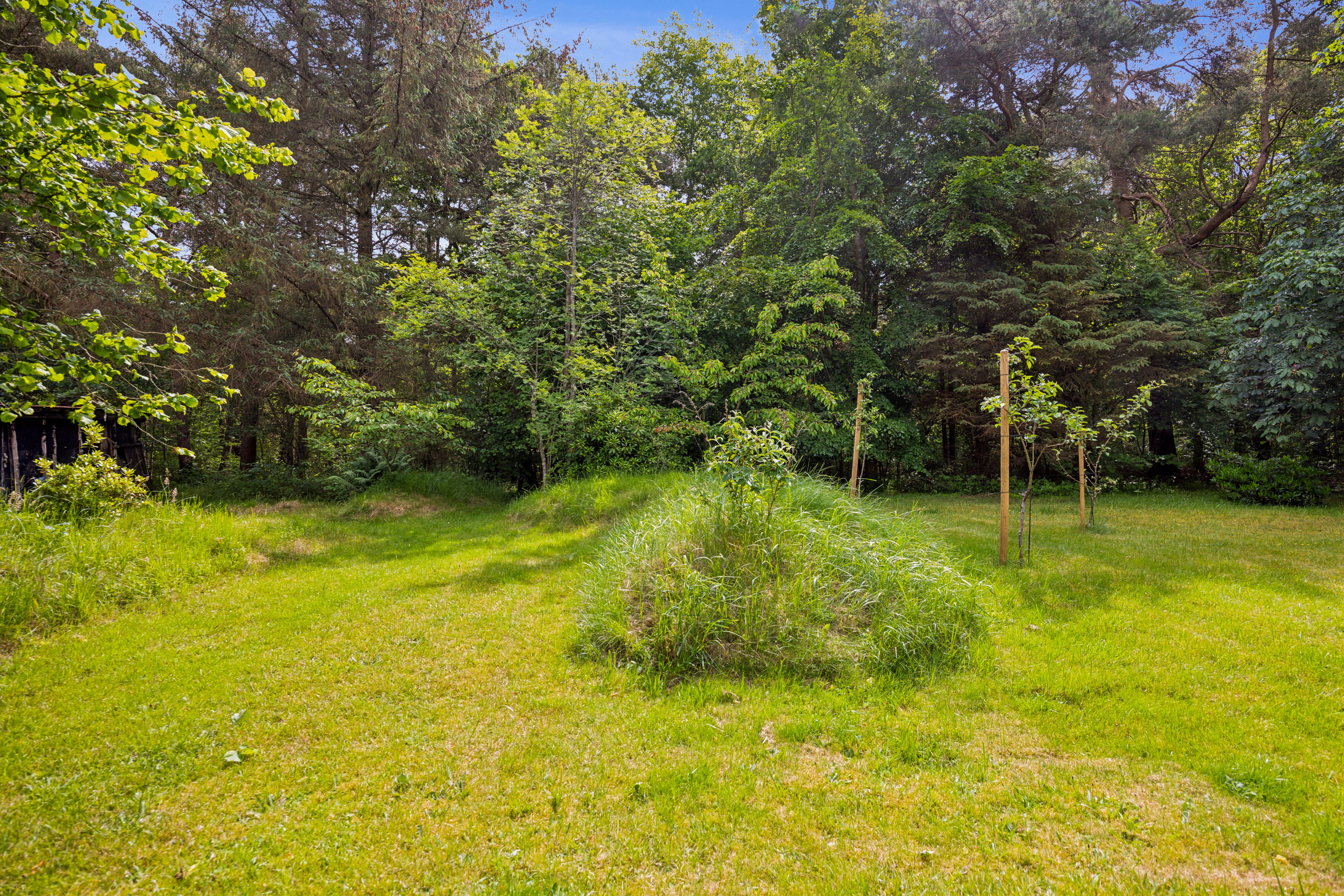 Fremhævet have billede i fuldskærmstilstand. Billede af Rummelsigen 29, 9340 Asaa