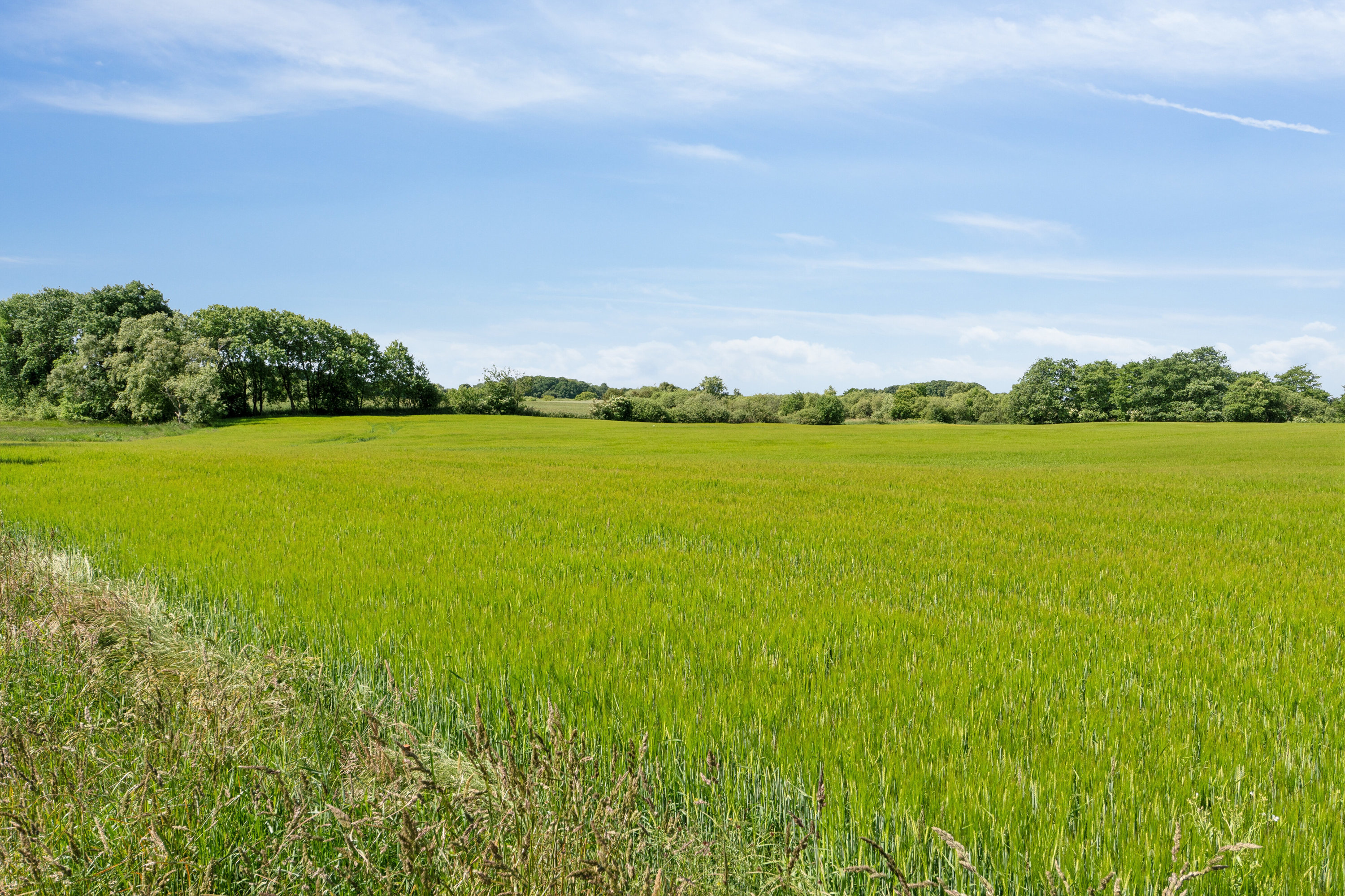 Fremhævet omgivelser billede i fuldskærmstilstand. Billede af Charlottenlundvej 29, 8620 Kjellerup