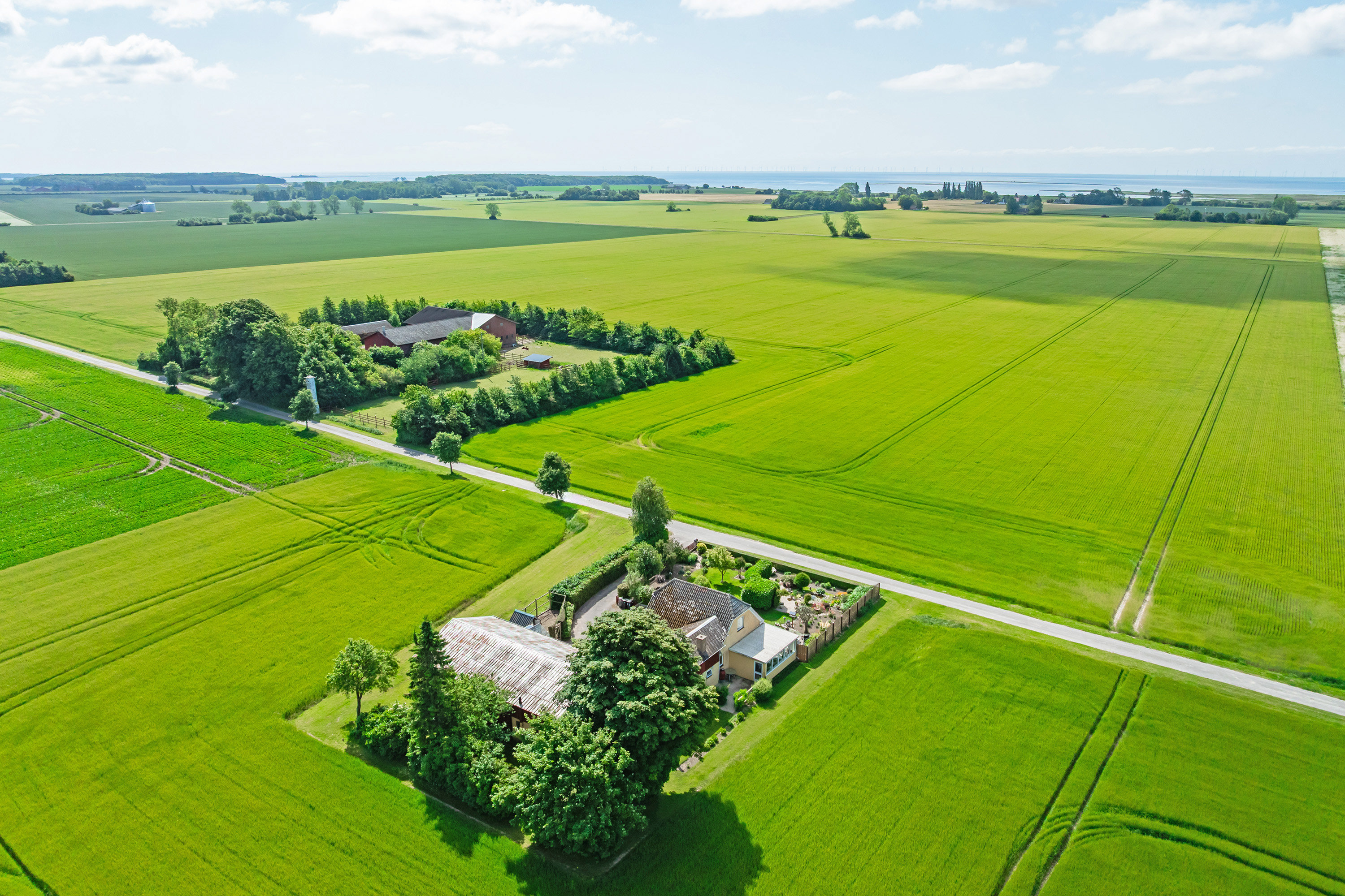 Fremhævet  billede i fuldskærmstilstand. Billede af Alleen 1, 4894 Øster Ulslev