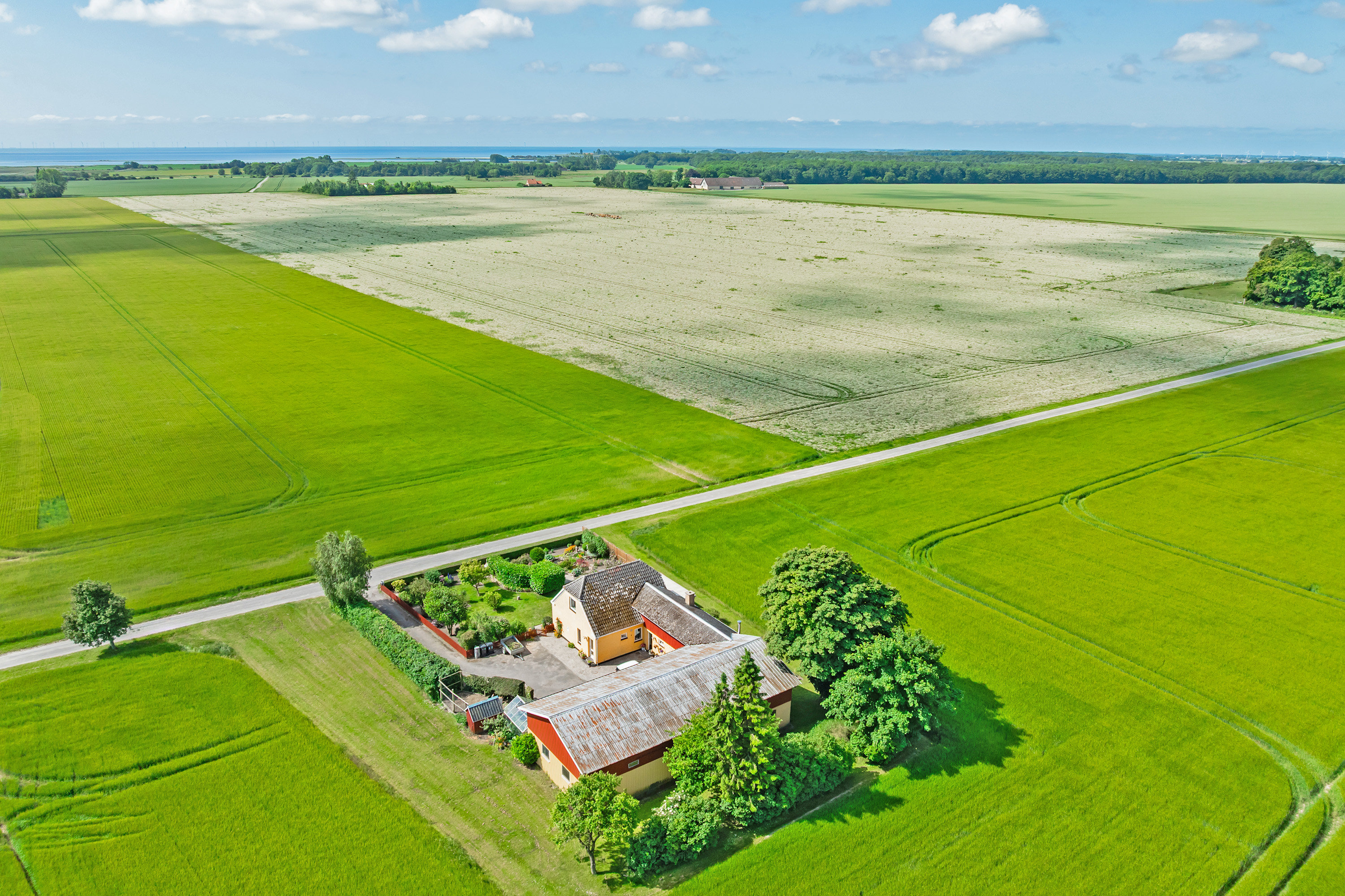 Fremhævet  billede i fuldskærmstilstand. Billede af Alleen 1, 4894 Øster Ulslev