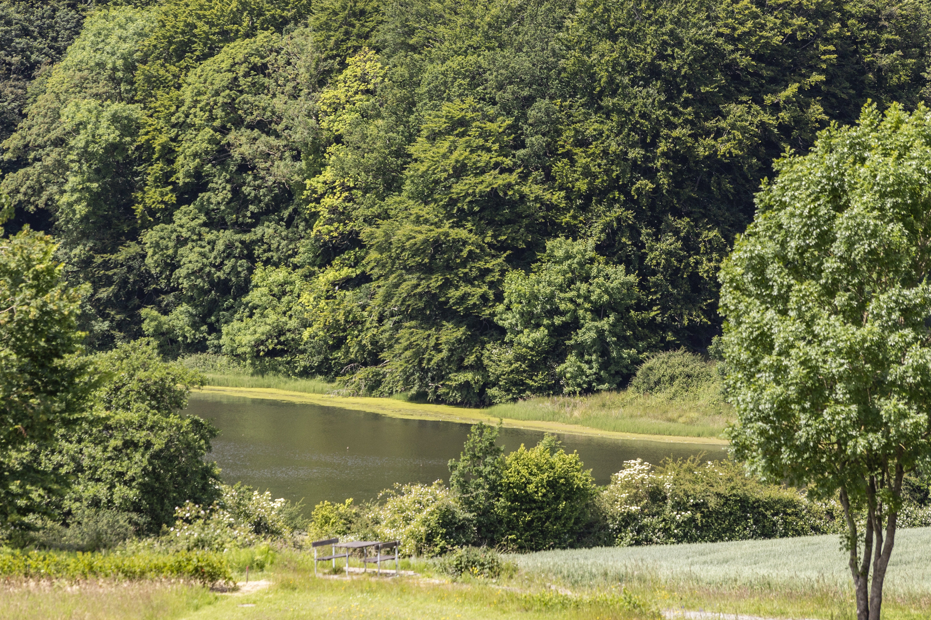 Fremhævet område billede i fuldskærmstilstand. Billede af Skovsøen 23, Løjt Nørreskov, 6200 Aabenraa