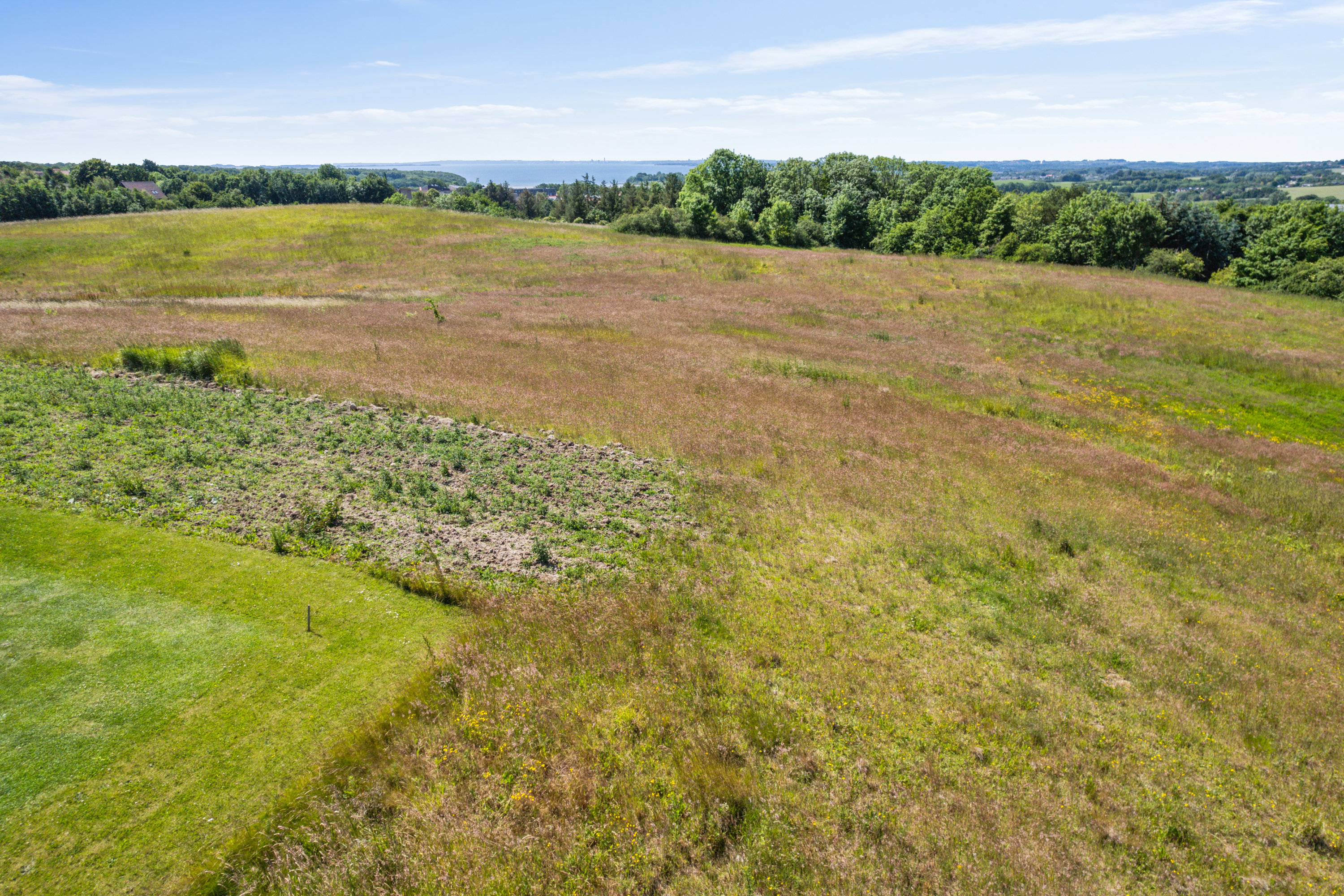 Miniaturebillede 2: have. Billede af Kappelgårdparken 43, 8410 Rønde