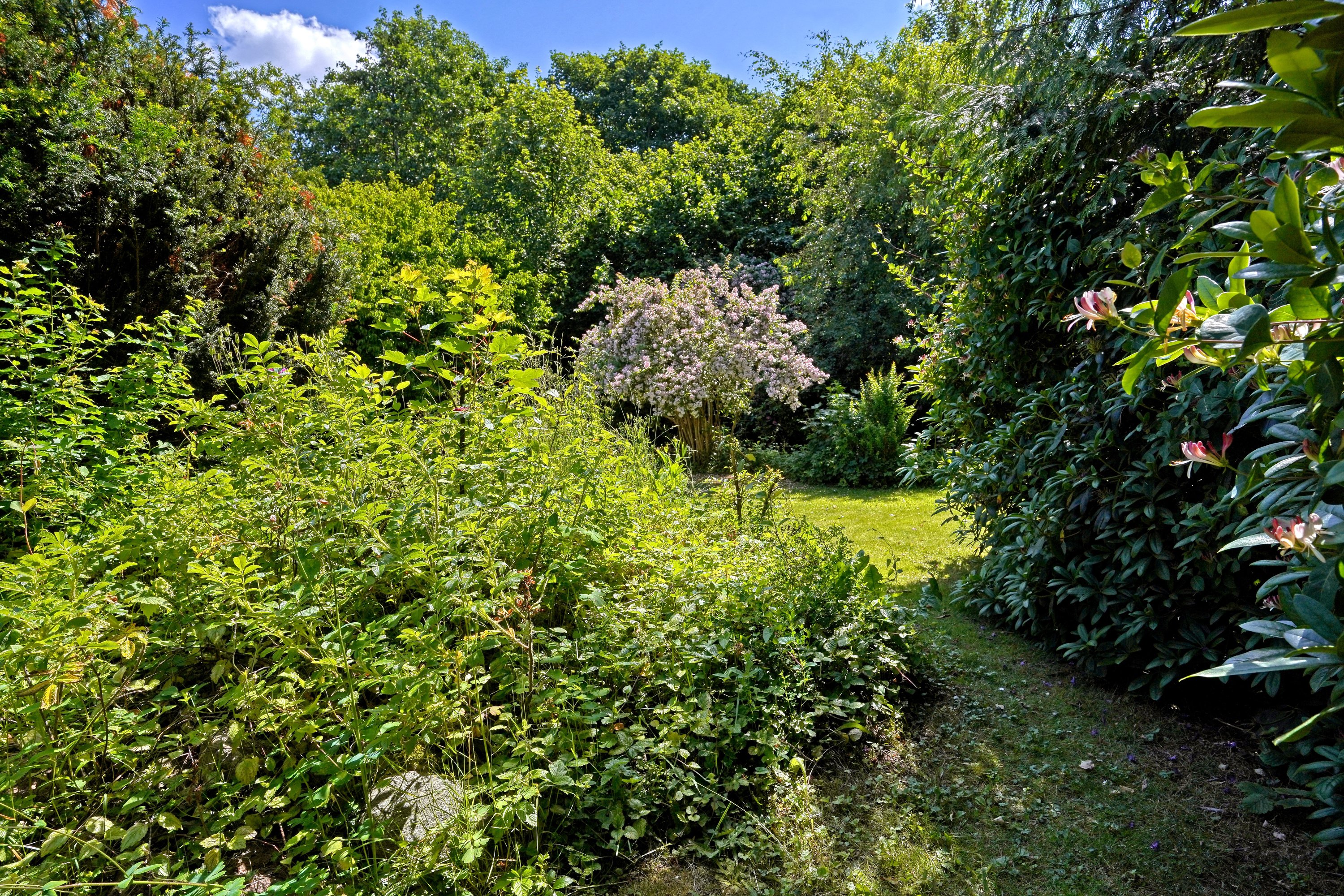 Fremhævet have billede i fuldskærmstilstand. Billede af Suhrs Alle 12, 3520 Farum