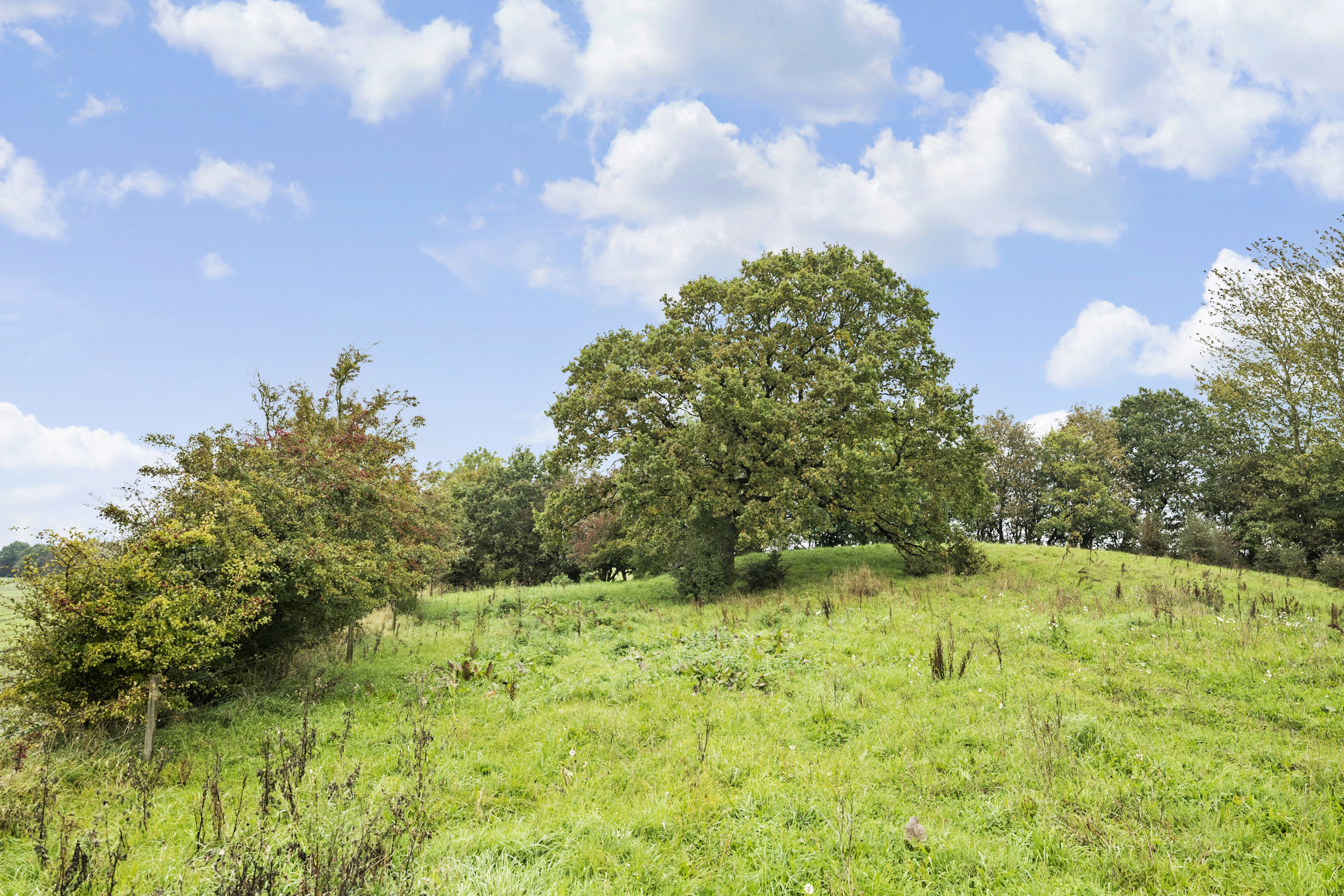 Fremhævet  billede i fuldskærmstilstand. Billede af Skovvej 71, Impgård, 8620 Kjellerup