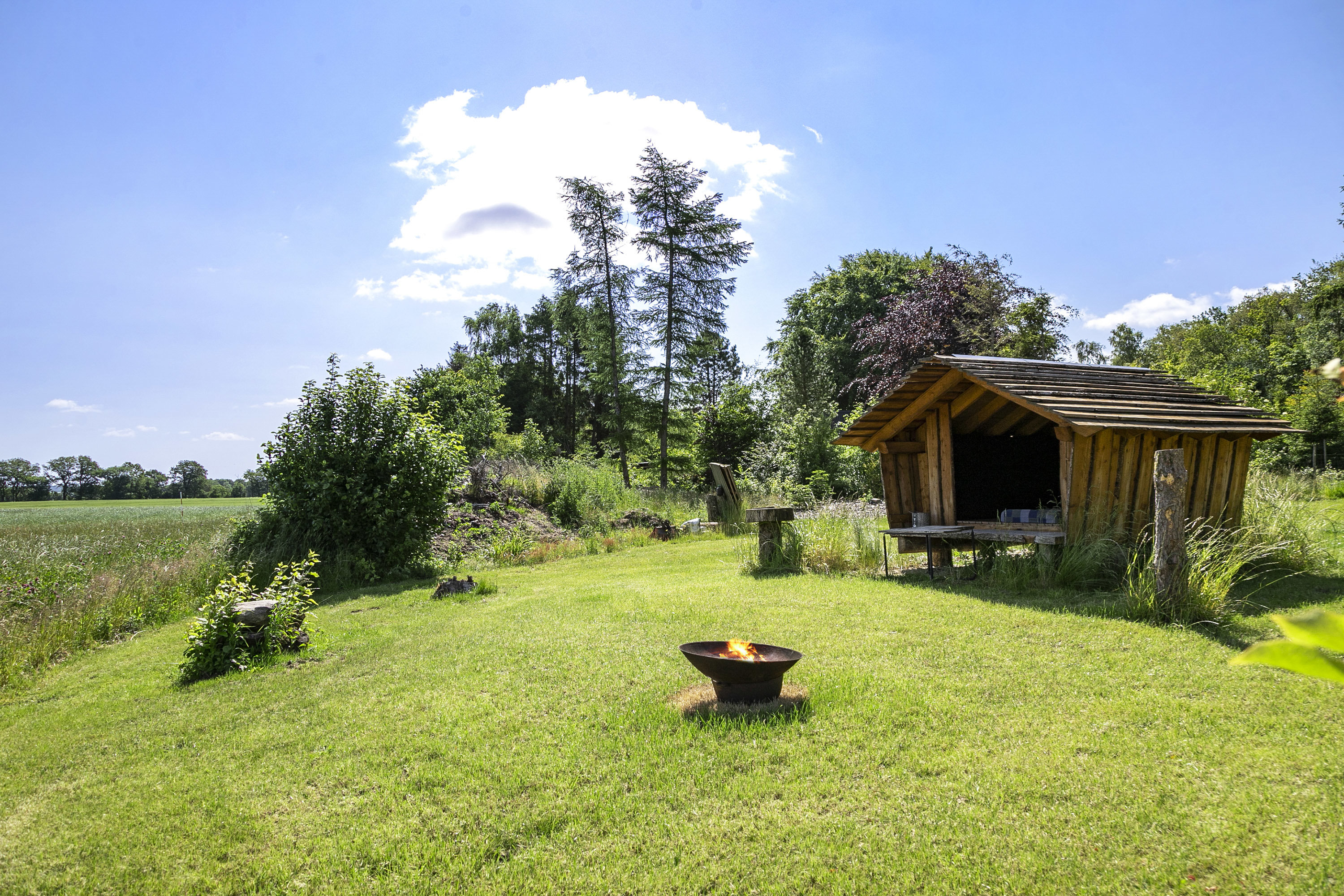 Miniaturebillede 1: have. Billede af Skatskovvej 35, Guldager, 9620 Aalestrup